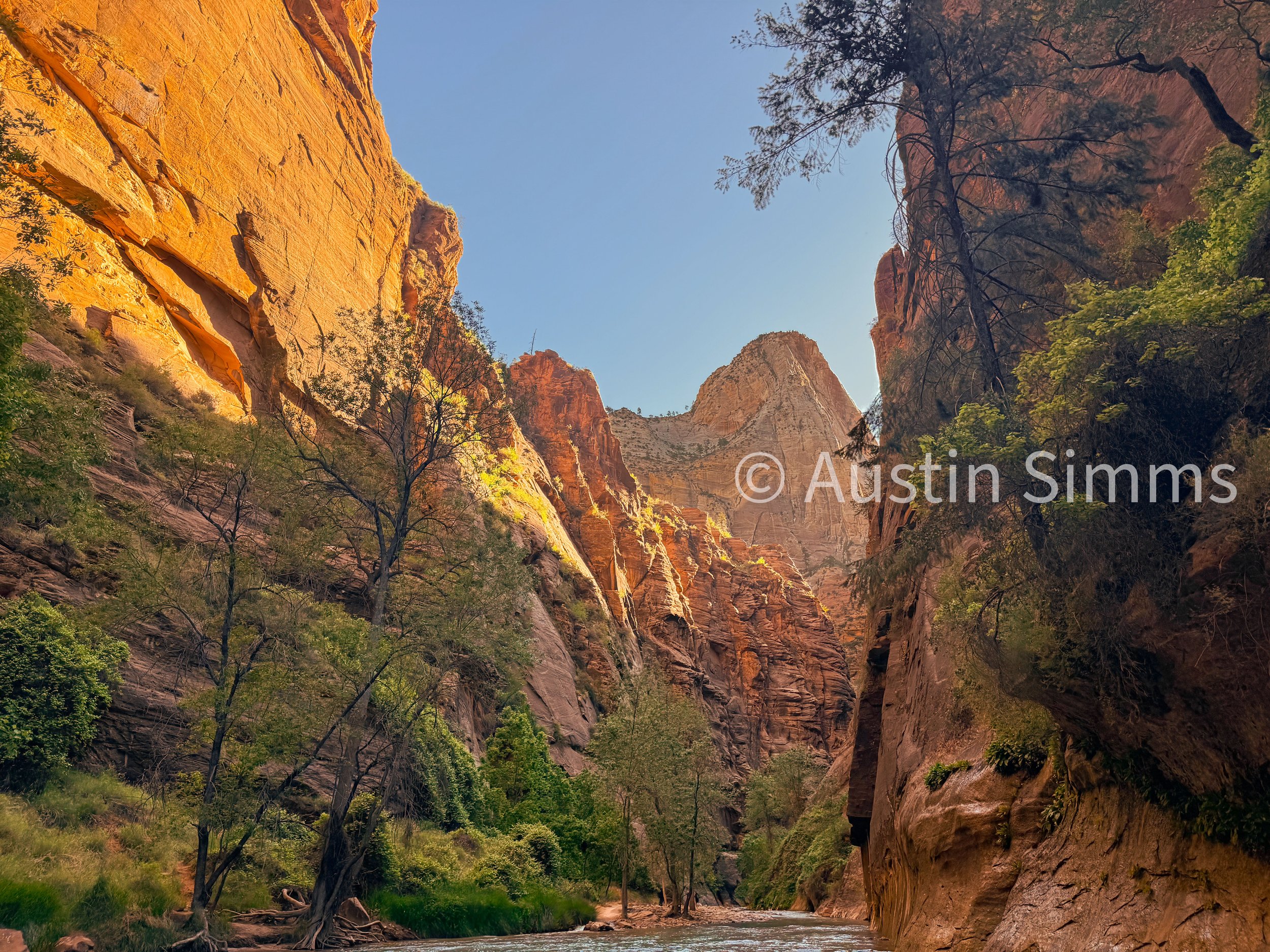 Zion 3