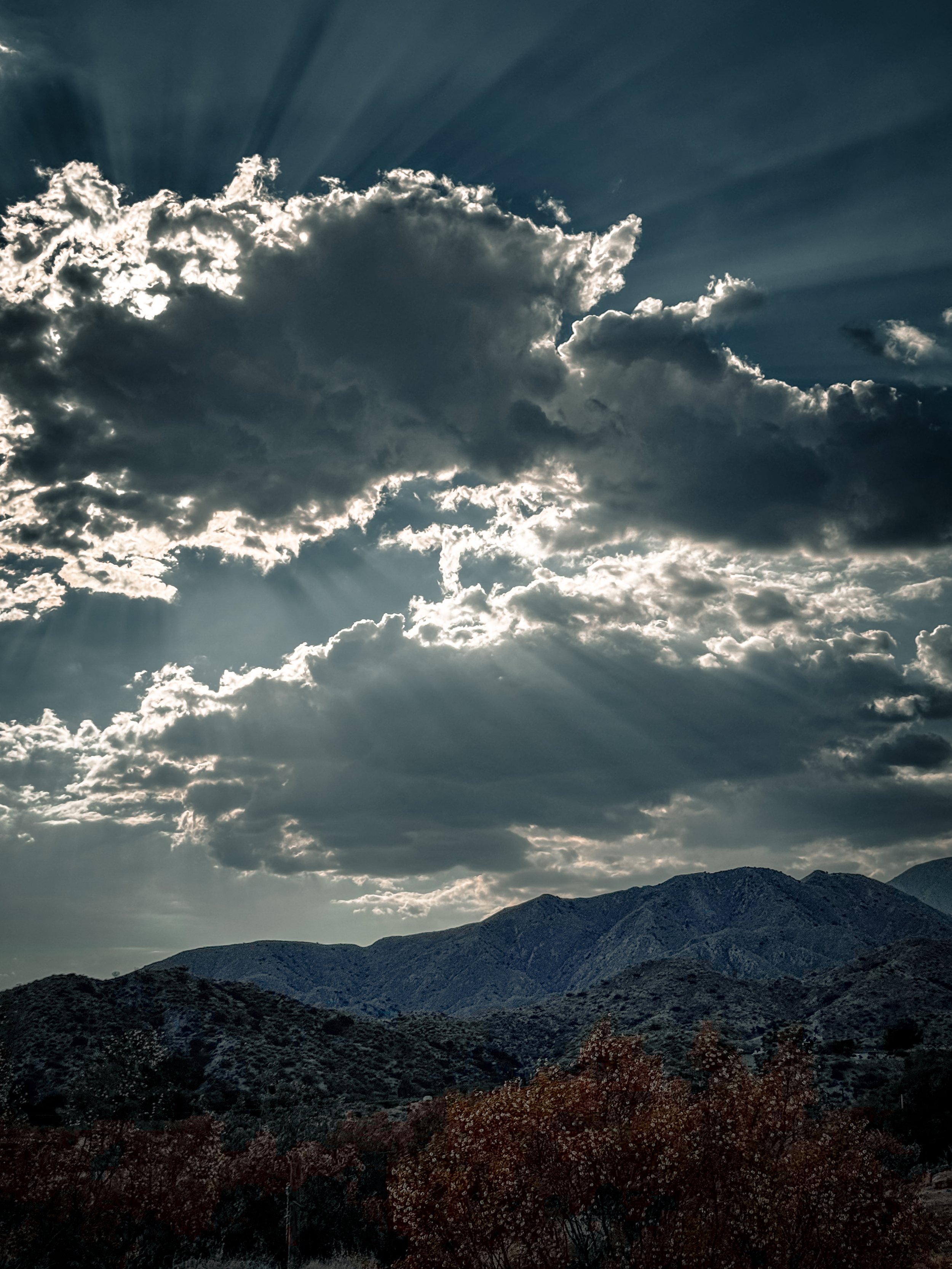 Yucca. Valley-2.jpg