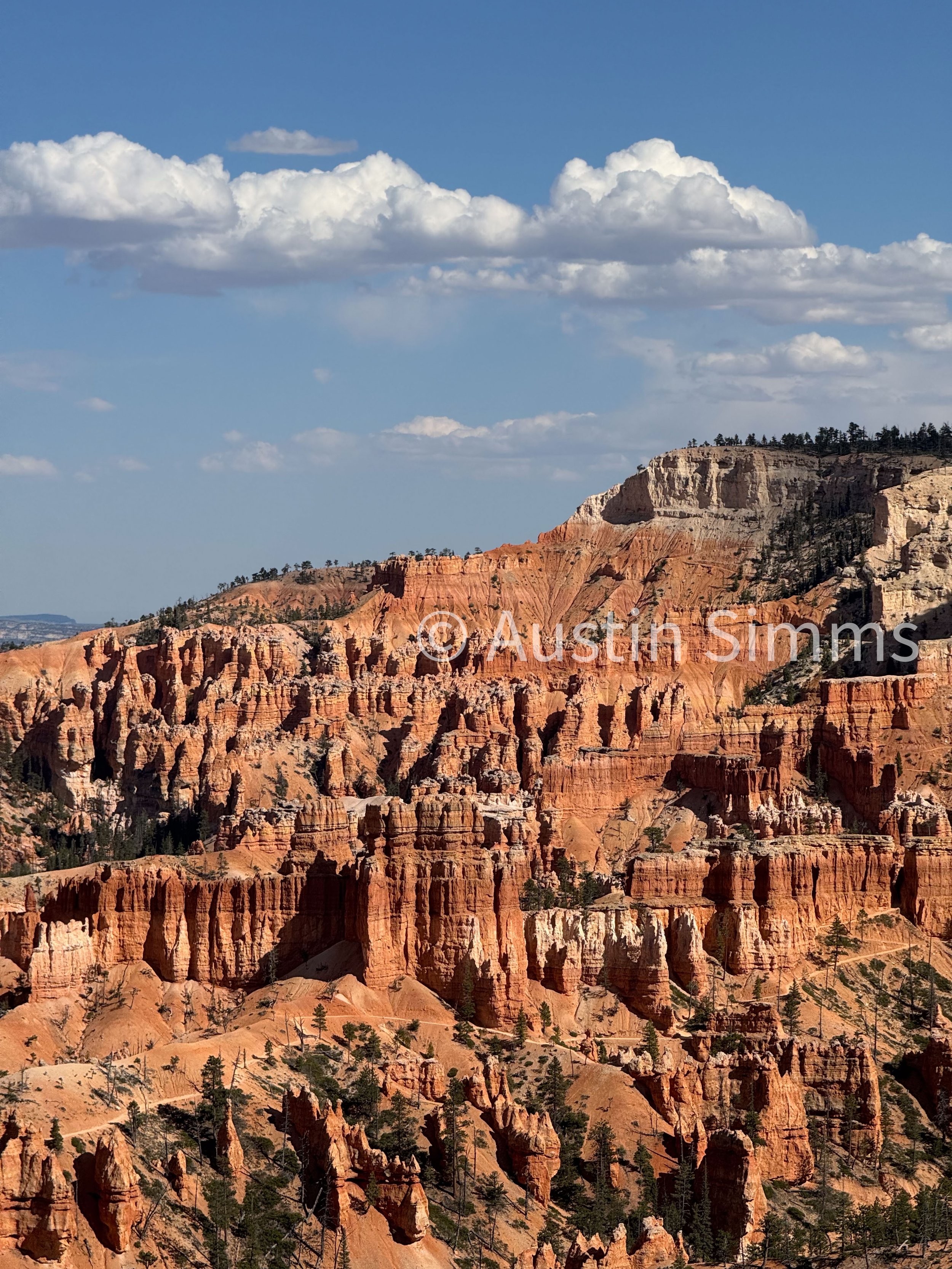 Bryce 2