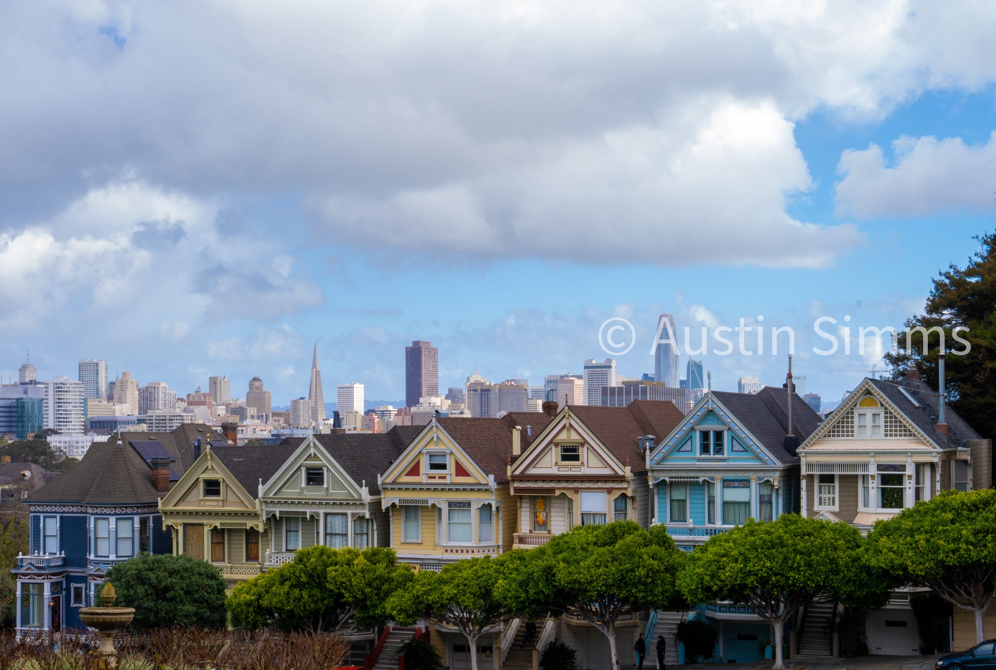 Painted Ladies 1