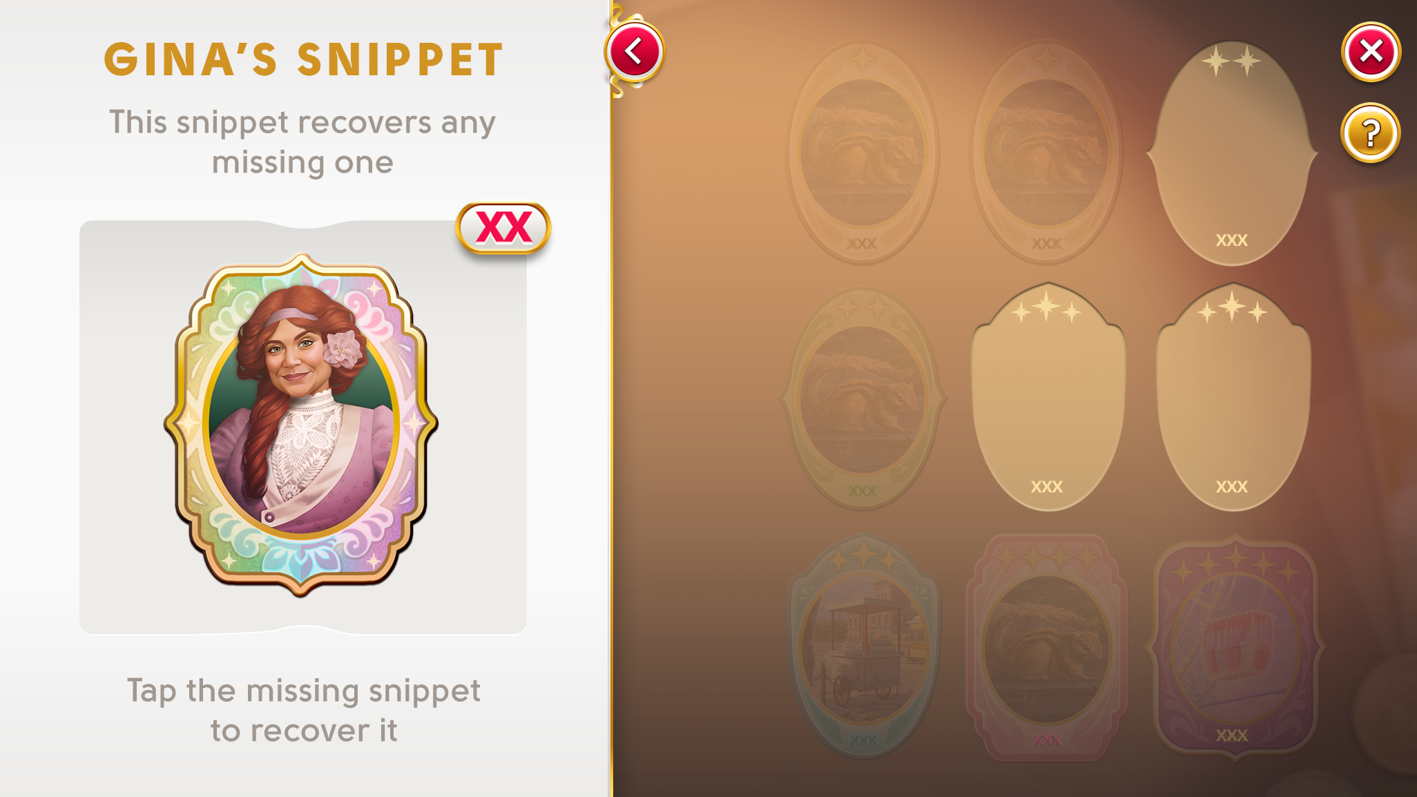 Collections_Set_WildCard.png