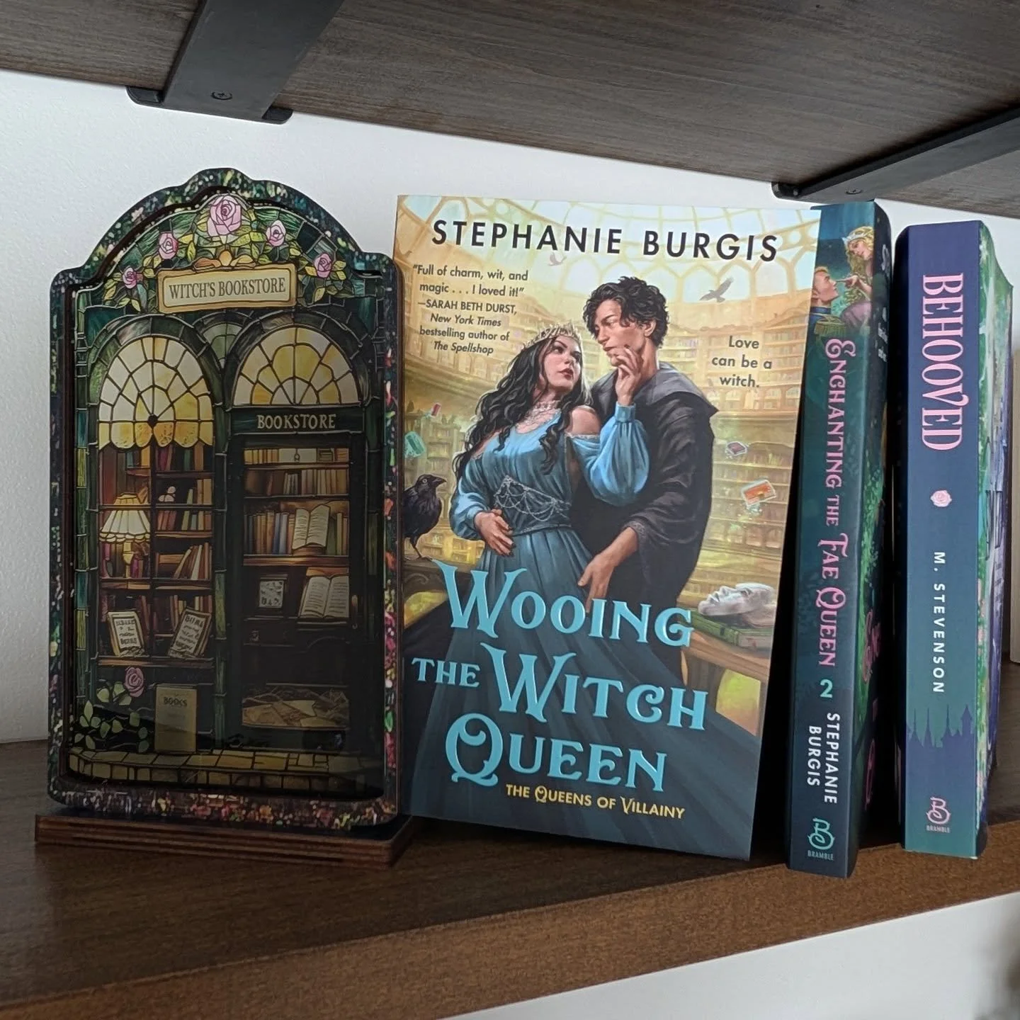 A badass witch Queen who knows how to take care of herself, her people and hold off an opposing kingdom with her powerful magic, most definitely will not fall in love with her masked, nerdy, quiet, dark wizard librarian. 

While on the surface, it'