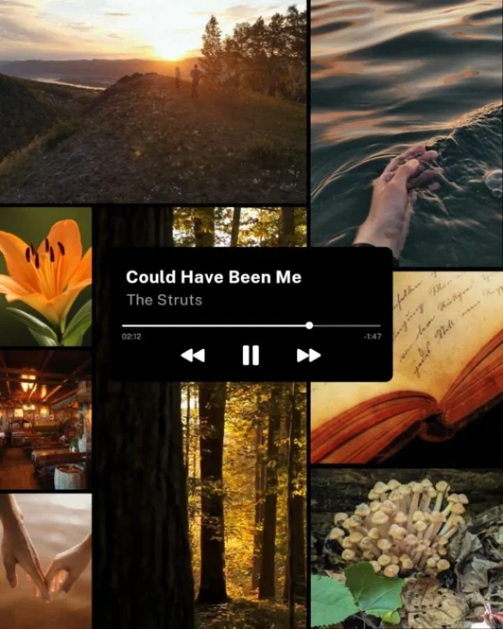 Get to know my debut novel and characters via their playlists! 

QOTD: What song influenced your characters/book?

#amquerying #fantasyauthor #bookstagram