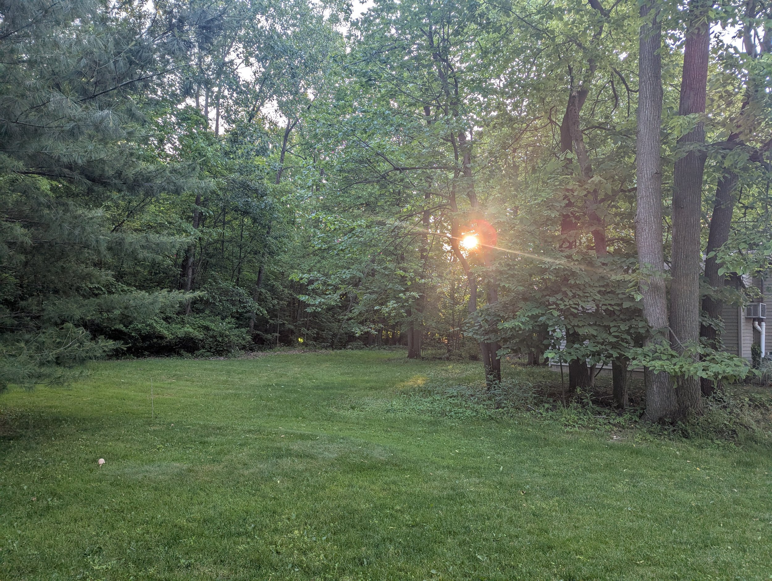 Sunset through a wooded backyard with green grass, trees, and a house with an air conditioning unit.