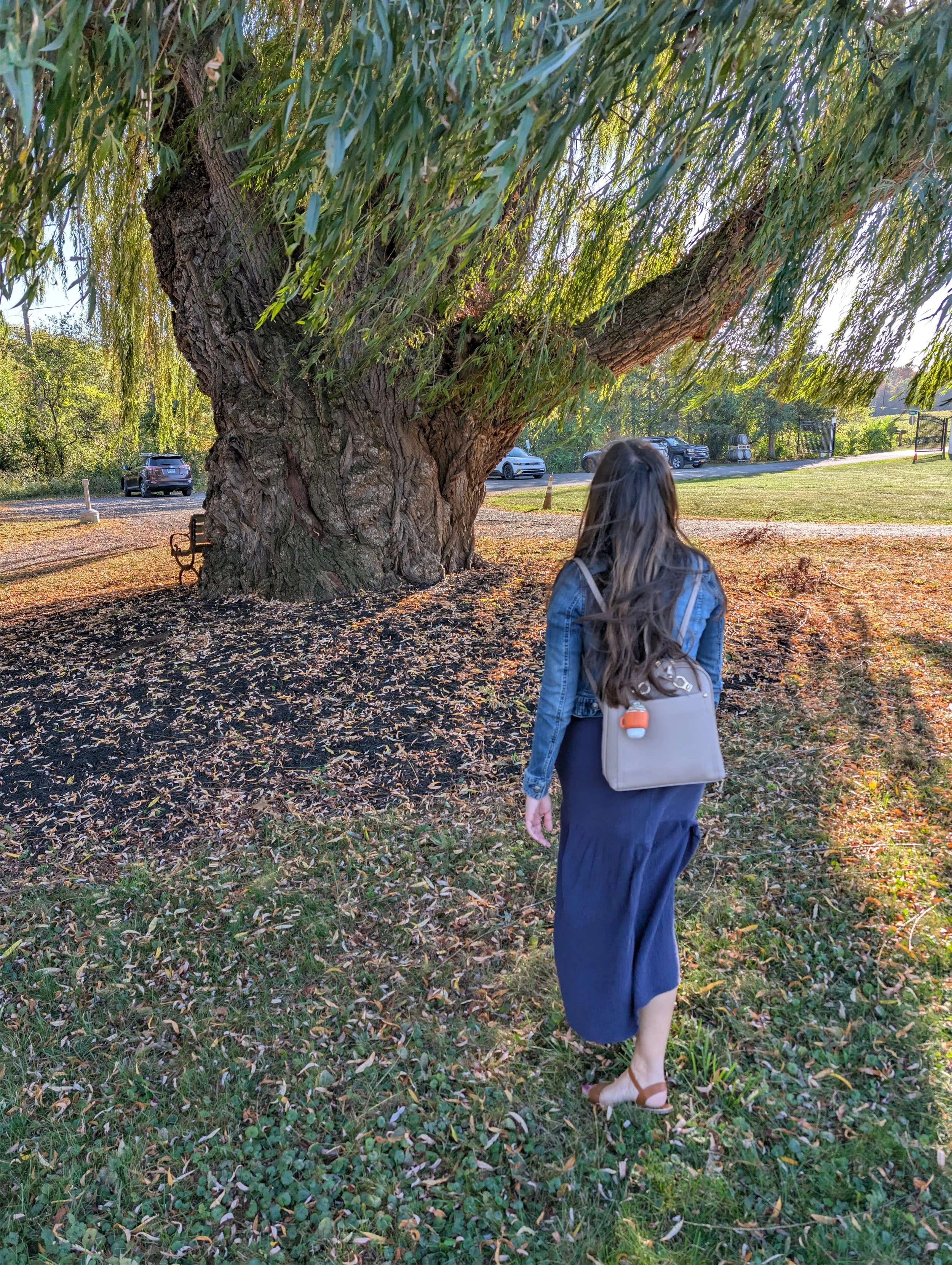 A woman with long hair, wearing a denim jacket, a black skirt, and sandals, walking through a park with fallen leaves on the ground, near a large tree with drooping branches.