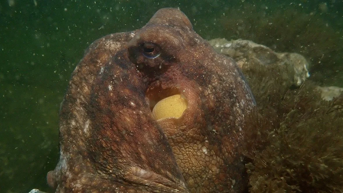 He was happy to let me take photos for about 20 minutes