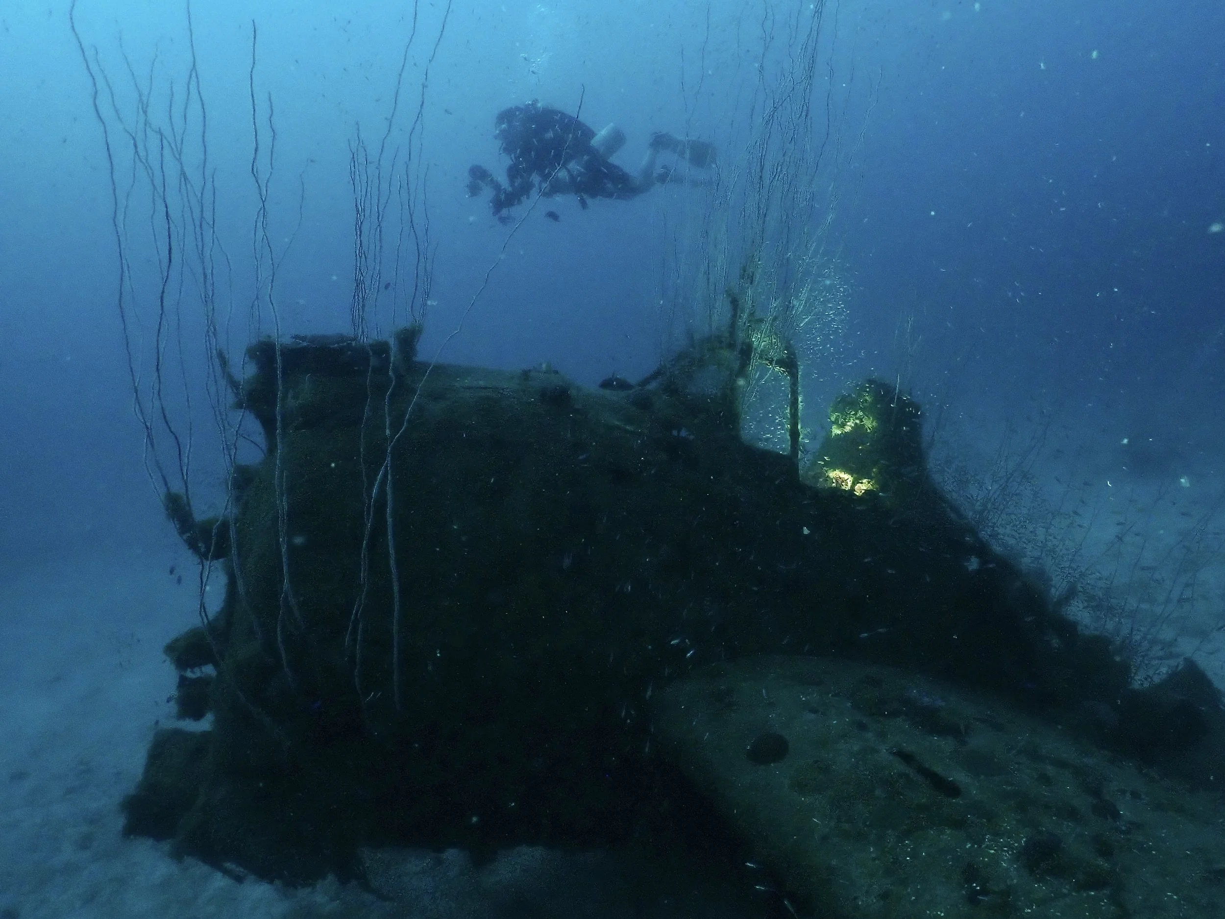 This Hellcat was washed over the 
 of the ship during the baker blast and now rests in 150 ft of water off the starboard side of the wreck