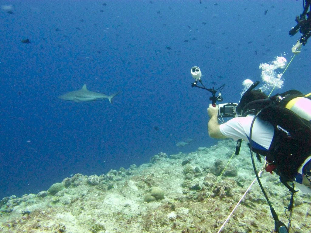 Divers hooked on Blue Corner