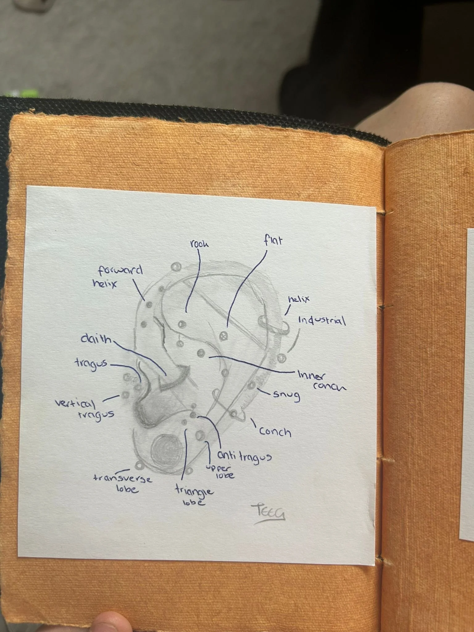 8345e976-d1f5-40c4-b63e-c44419744c30.JPG