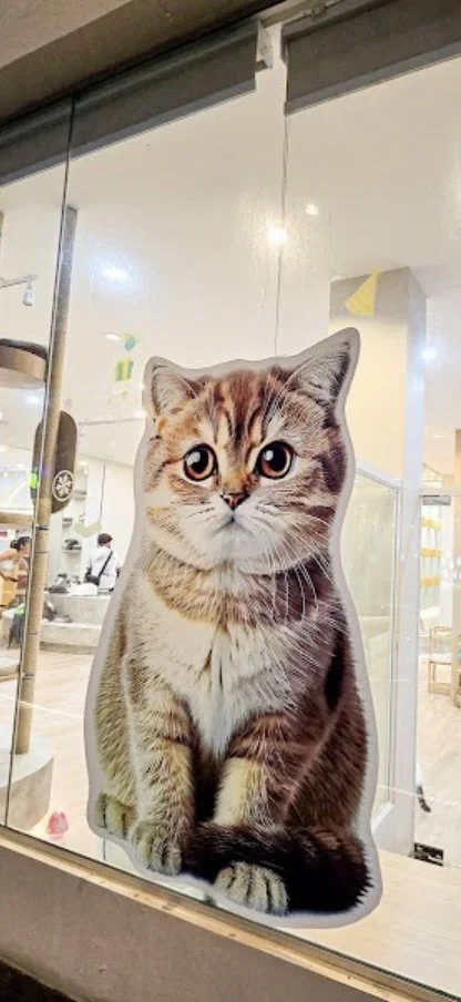 Visit the Mali Cat Cafe