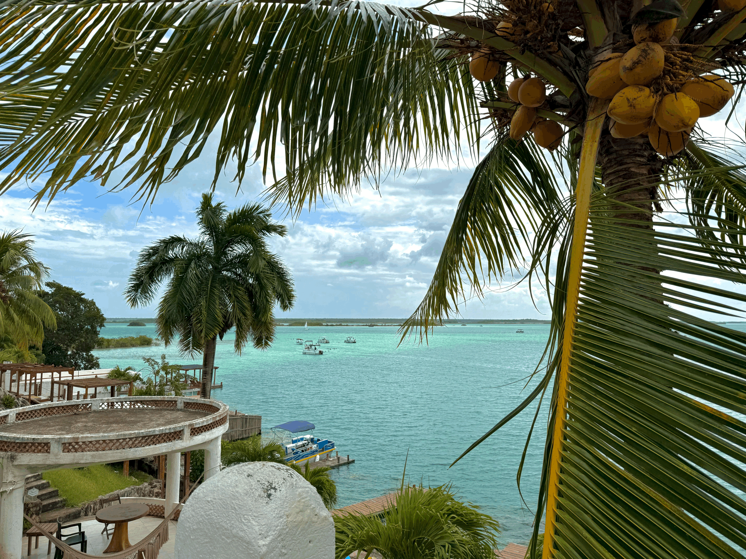 Bacalar