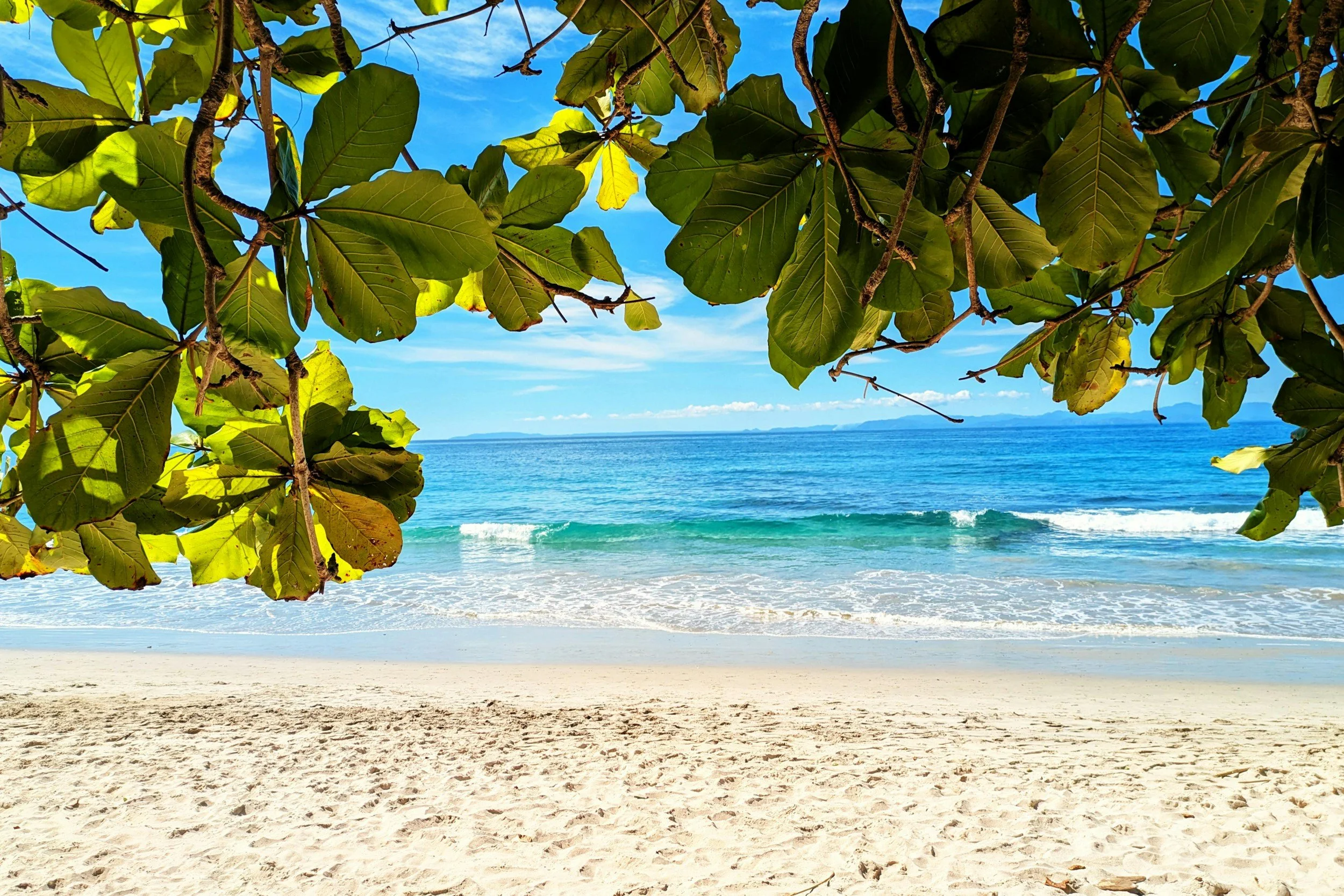 ππ΄ Pacific Coast- Costa Rica