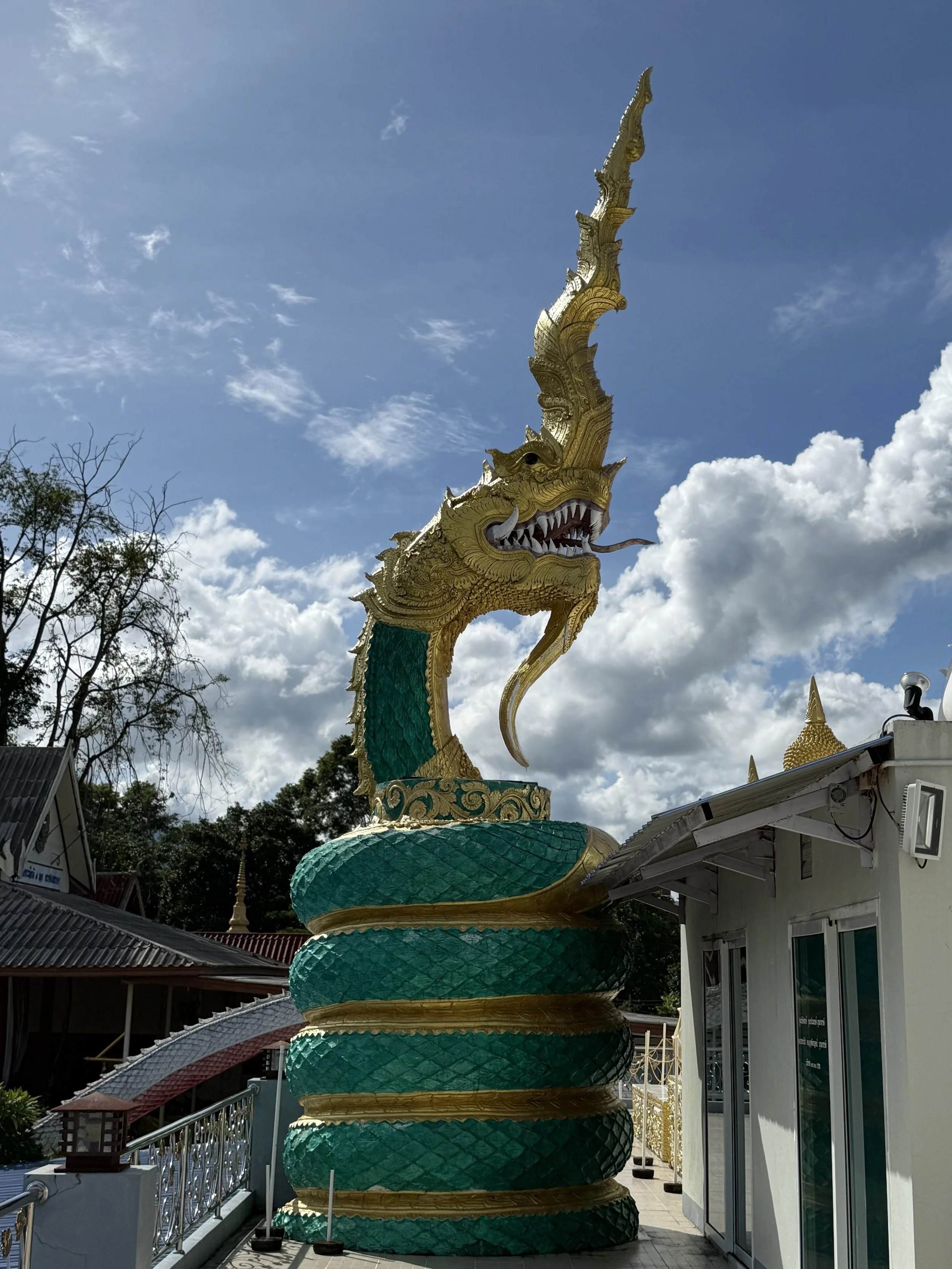IMG_4465.jpeg