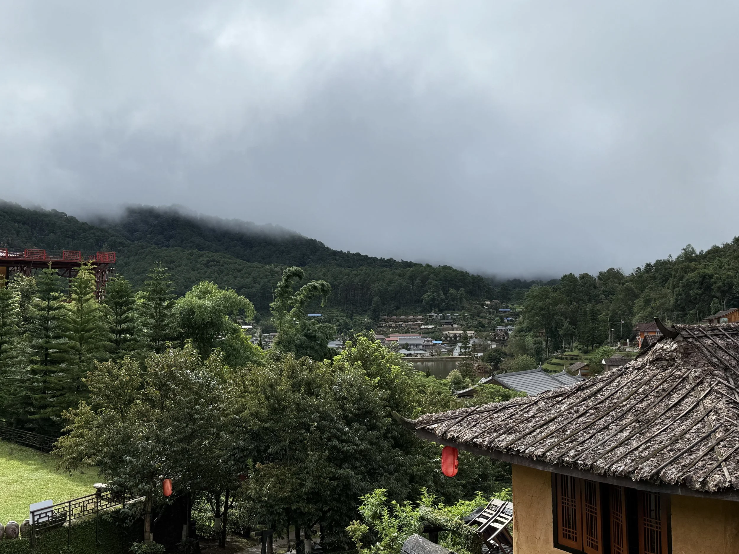 IMG_4629.jpeg
