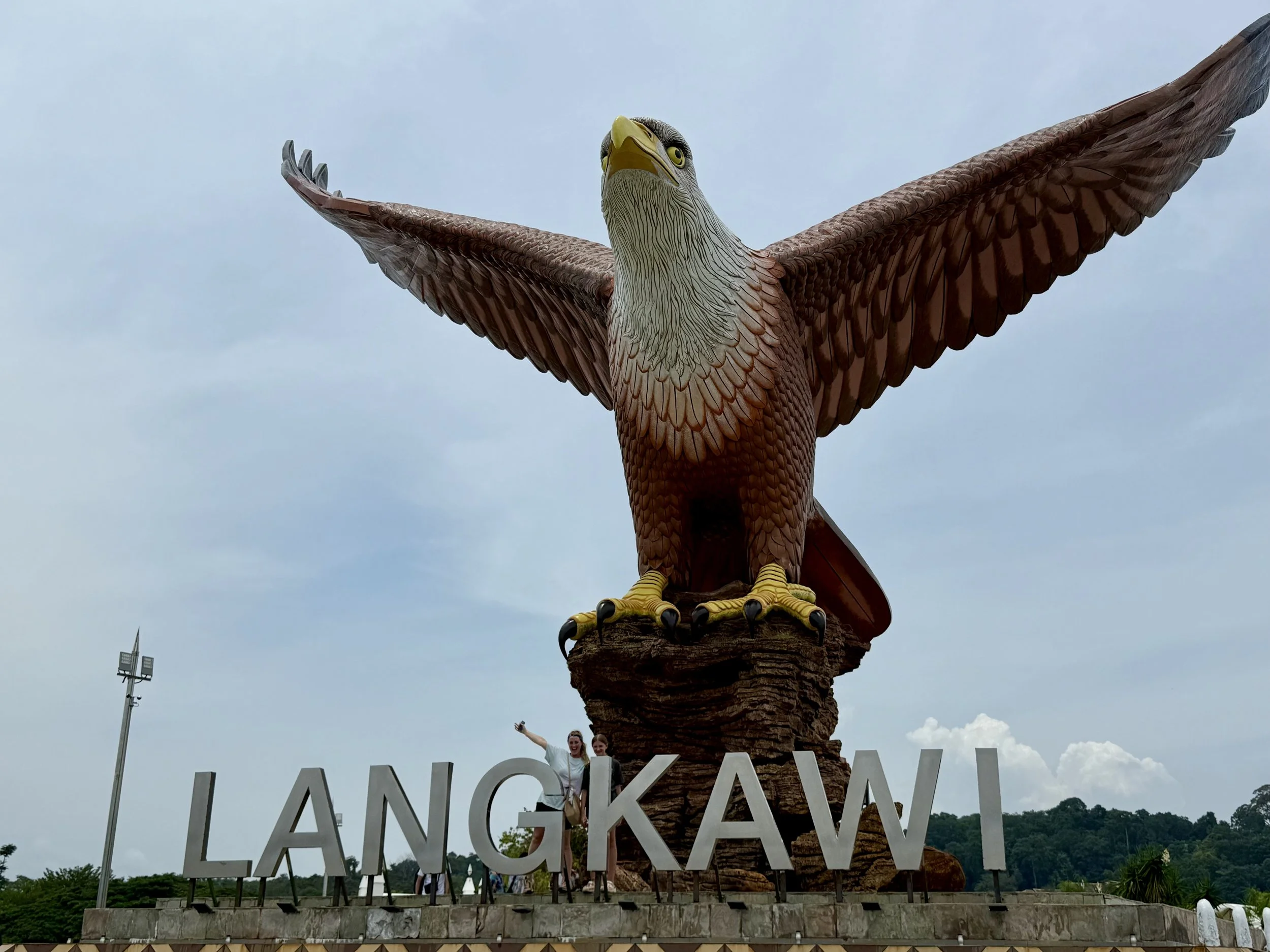 IMG_0971.jpeg