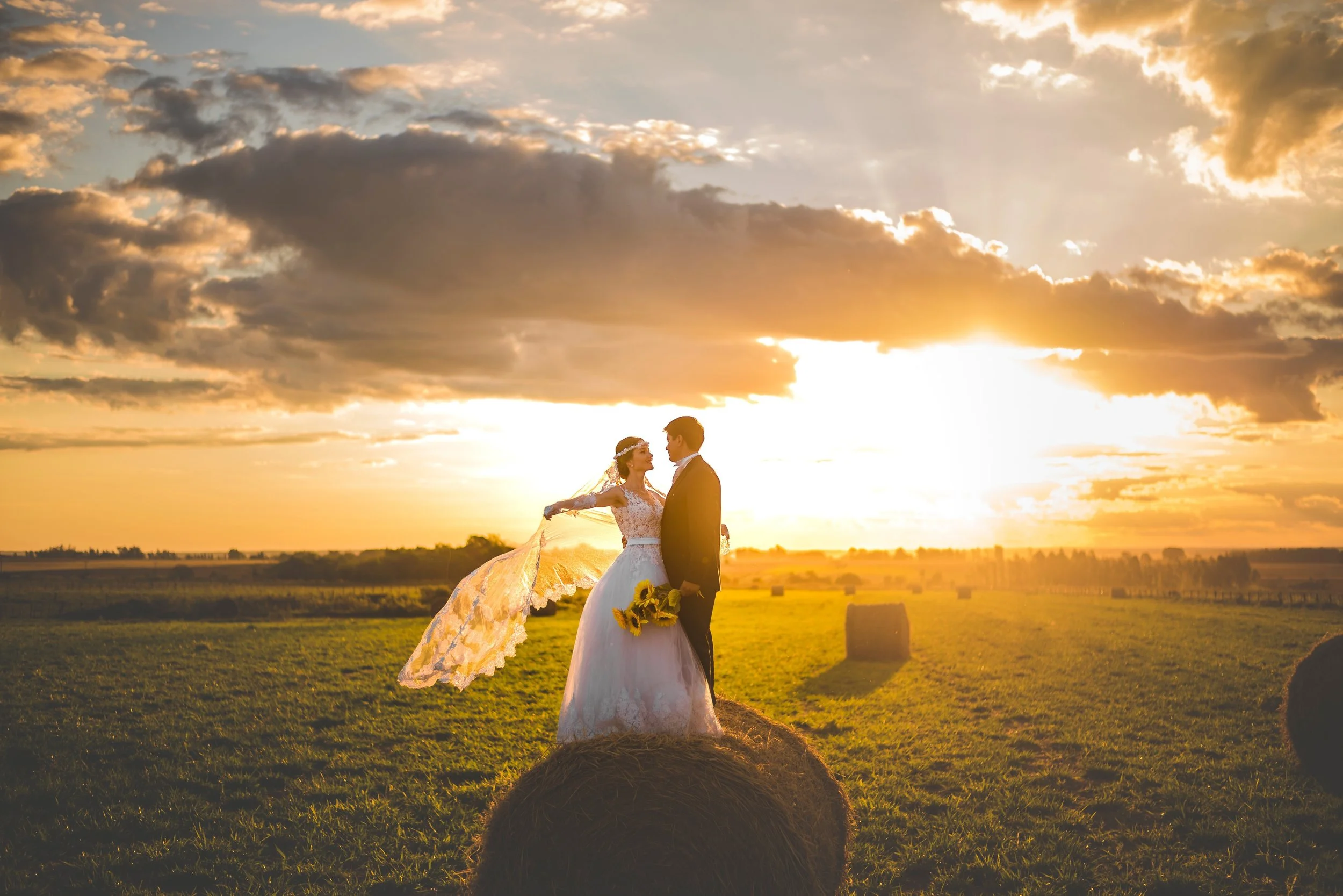 wedding-2604973.jpg
