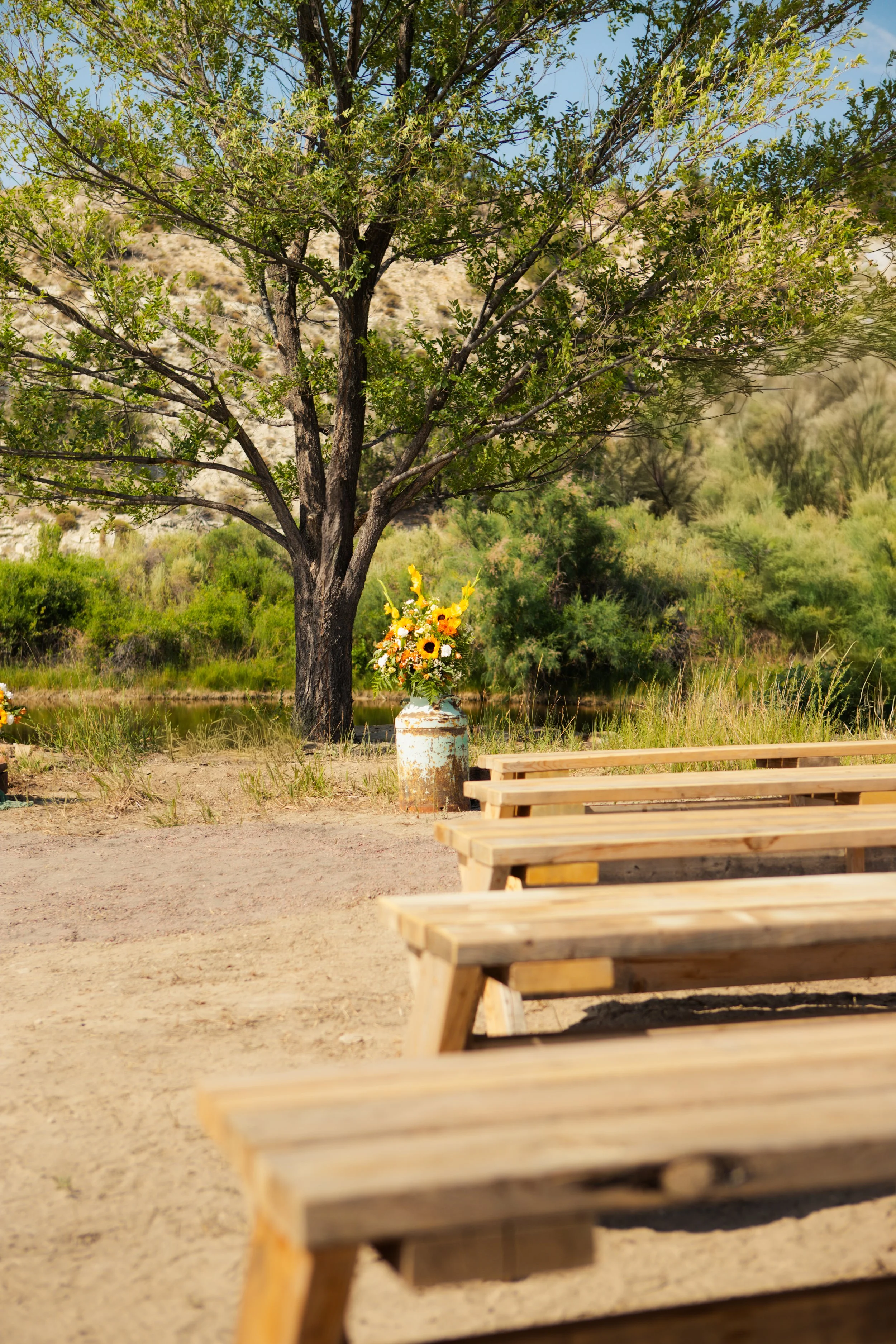 A tree and a bouquet of sunflowers and wildflowers in a white vase placed on a rusty metal barrel, with wooden benches in the foreground and a river, bushes, and hills in the background.