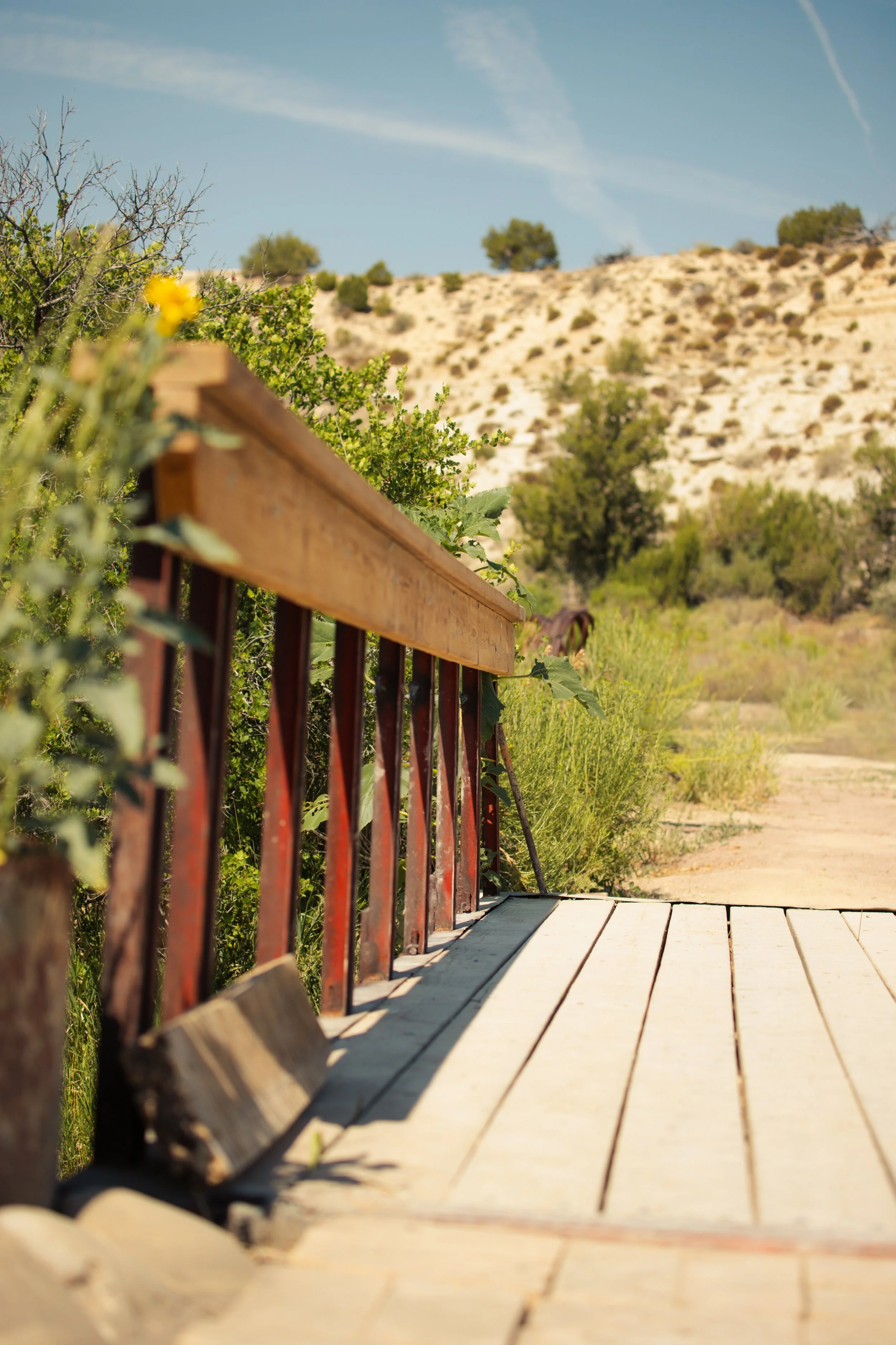Rustic bridge at Lost Pond wedding venue. The bridge is over a flowing stream and is a romantic addition to this outdoor wedding venue near Colorado Springs, Pueblo, and Canon City, Colorado.