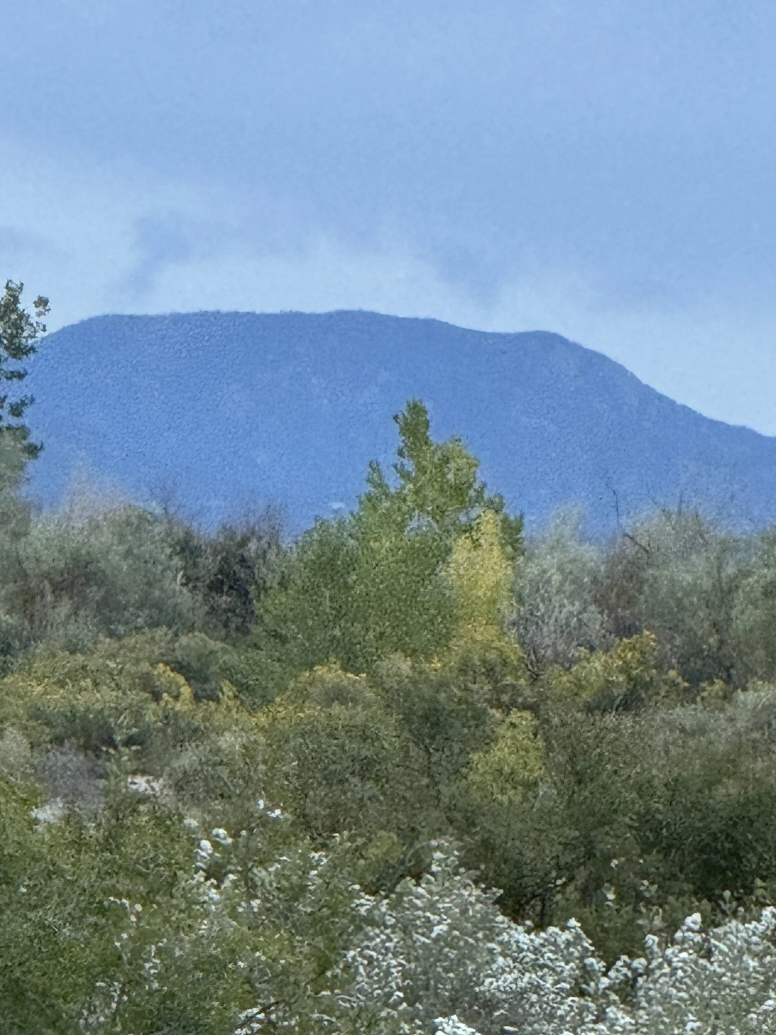 Cheyenne Mountain as viewed from the wedding ceremony site of Lost Pond, a Canon City Colorado Wedding venue.