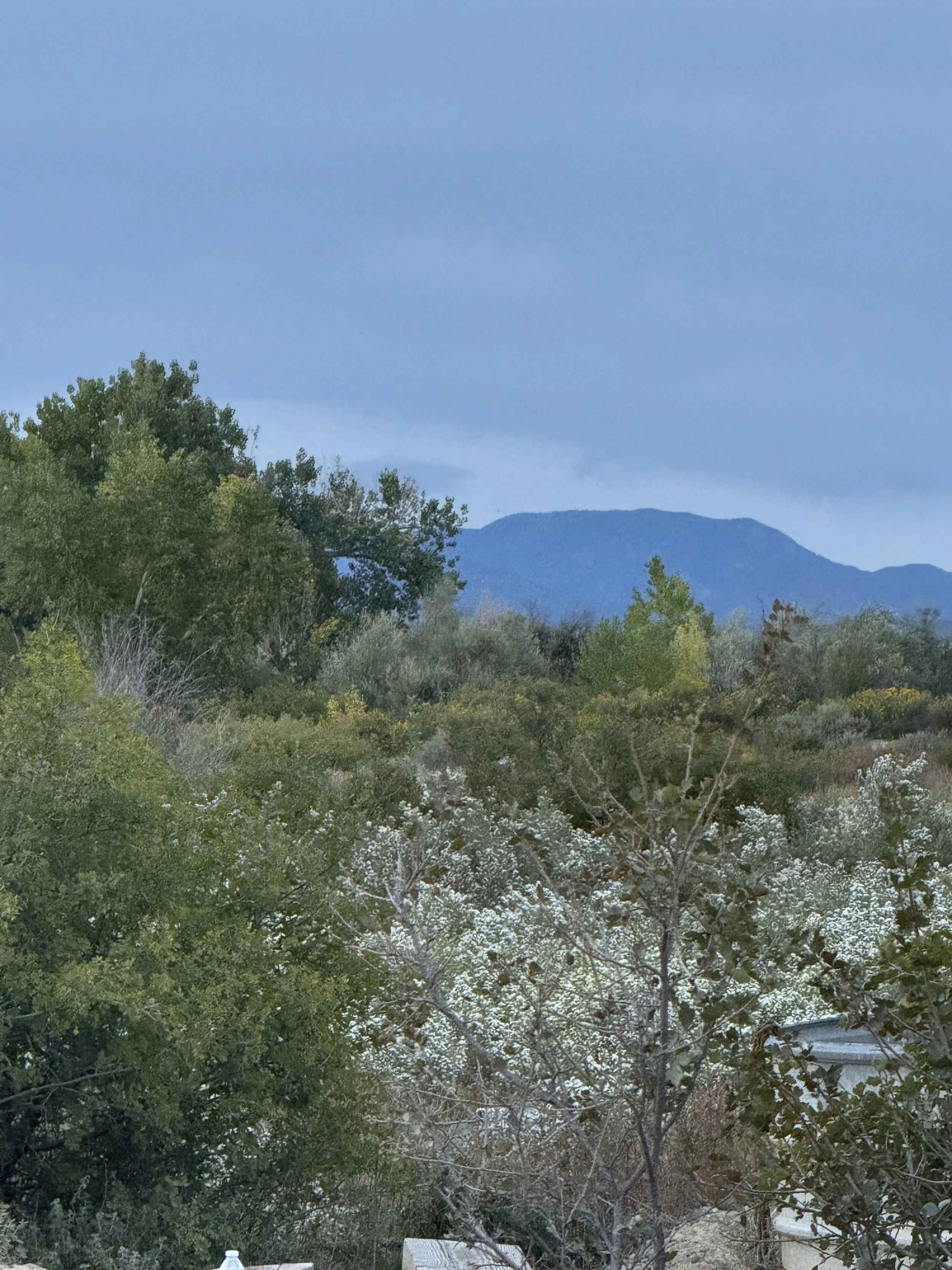 Mountain view from Canon City wedding venue Lost Pond