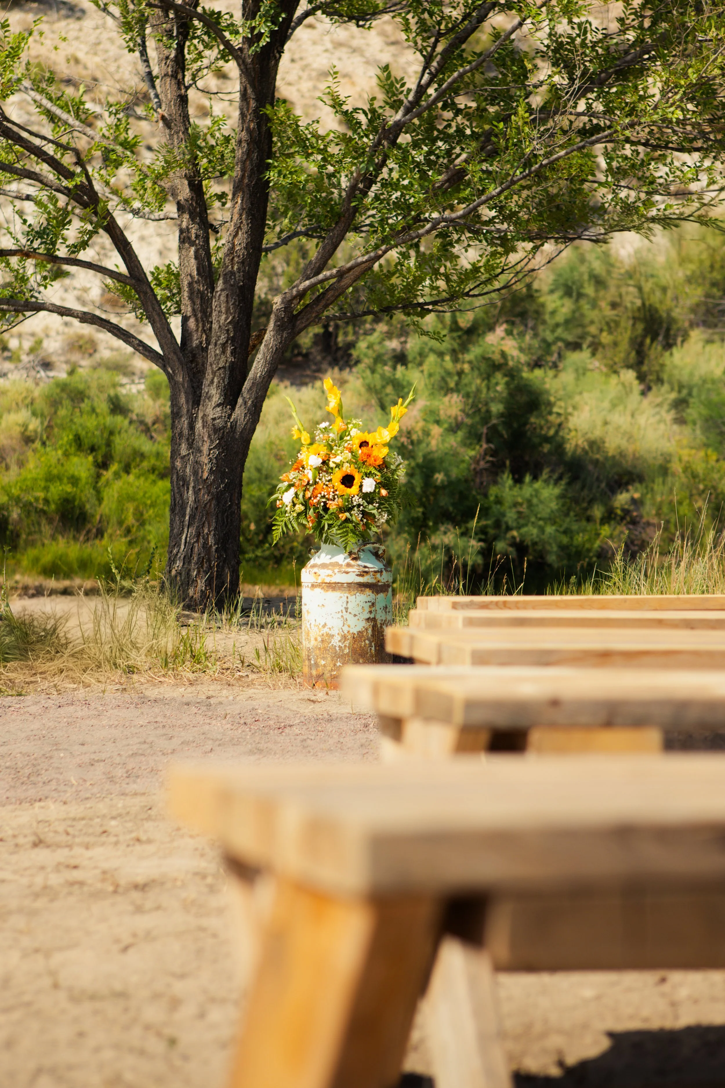 Outdoor wedding ceremony under the mature elm tree next to the pond at Lost Pond wedding venue near  Colorado Springs Colorado.