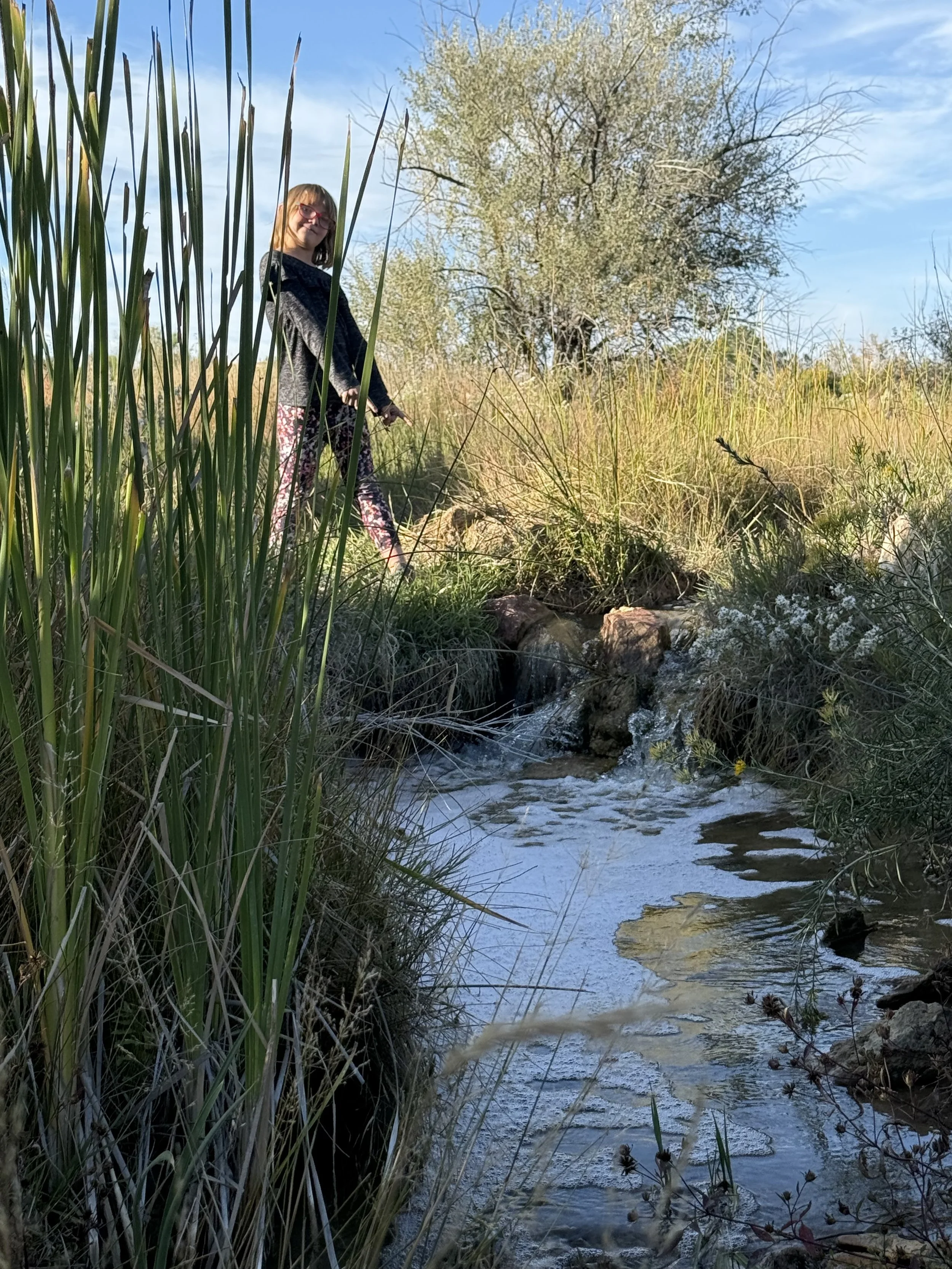 A girl standing on the bank of a creek, surrounded by tall grass and shrubs, with a large tree in the background, under a blue sky as the wildflowers bloom at Lost Pond, a rustic, outdoor wedding venue near Pueblo, Colorado.