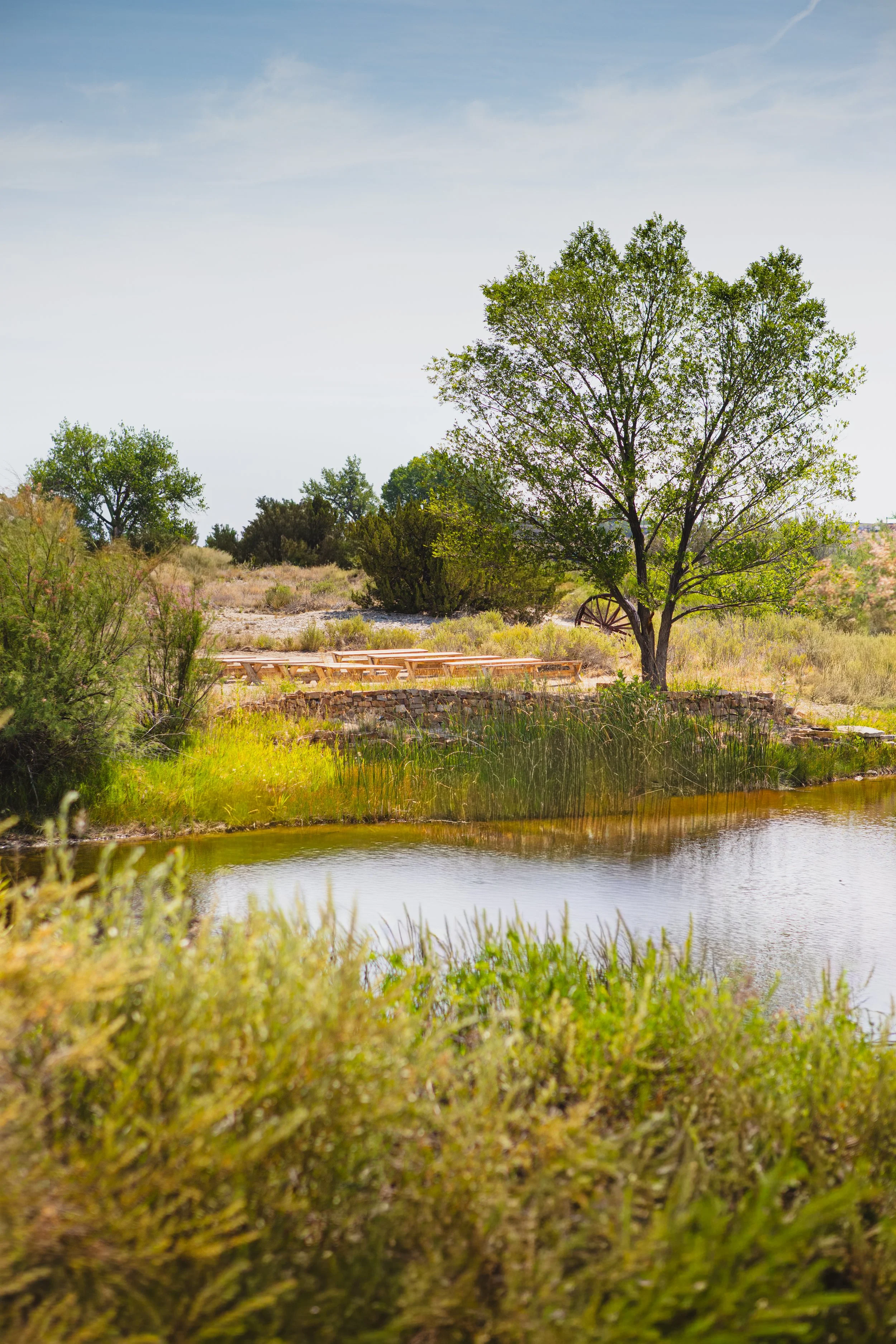 Outdoor wedding ceremony site pictured from across the pond at Lost Pond wedding venue near Canon City, Colorado Springs, and Pueblo, Colorado.