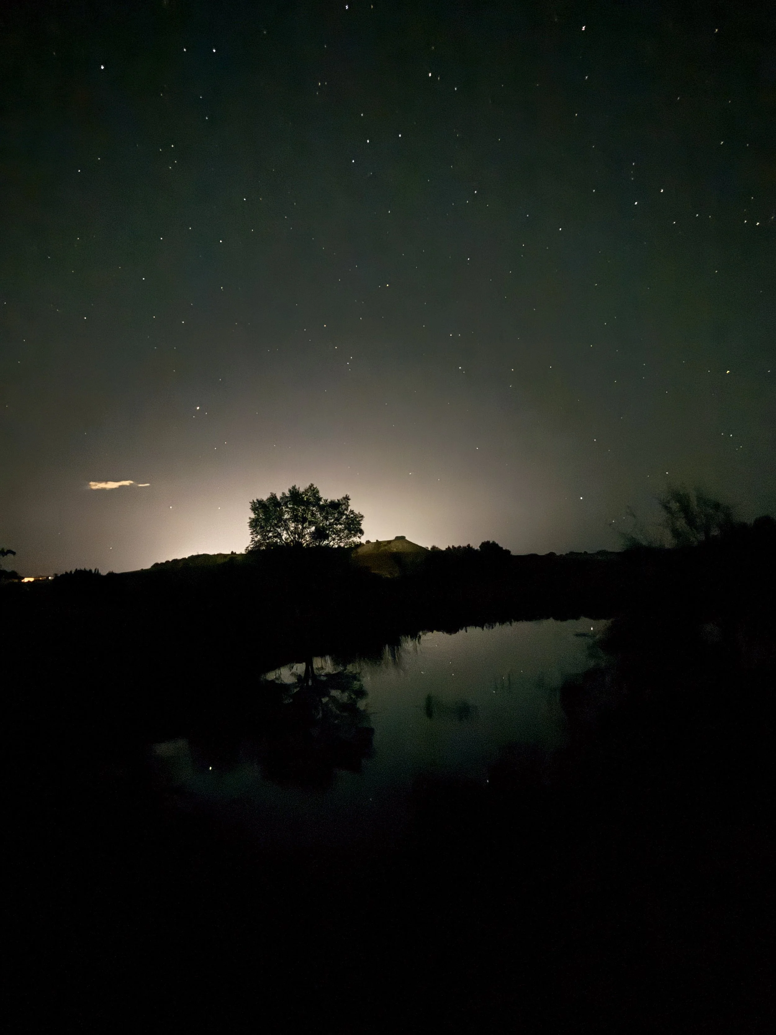 Nighttime landscape with stars in the sky, silhouette of trees and hills, and a body of water reflecting the scene.