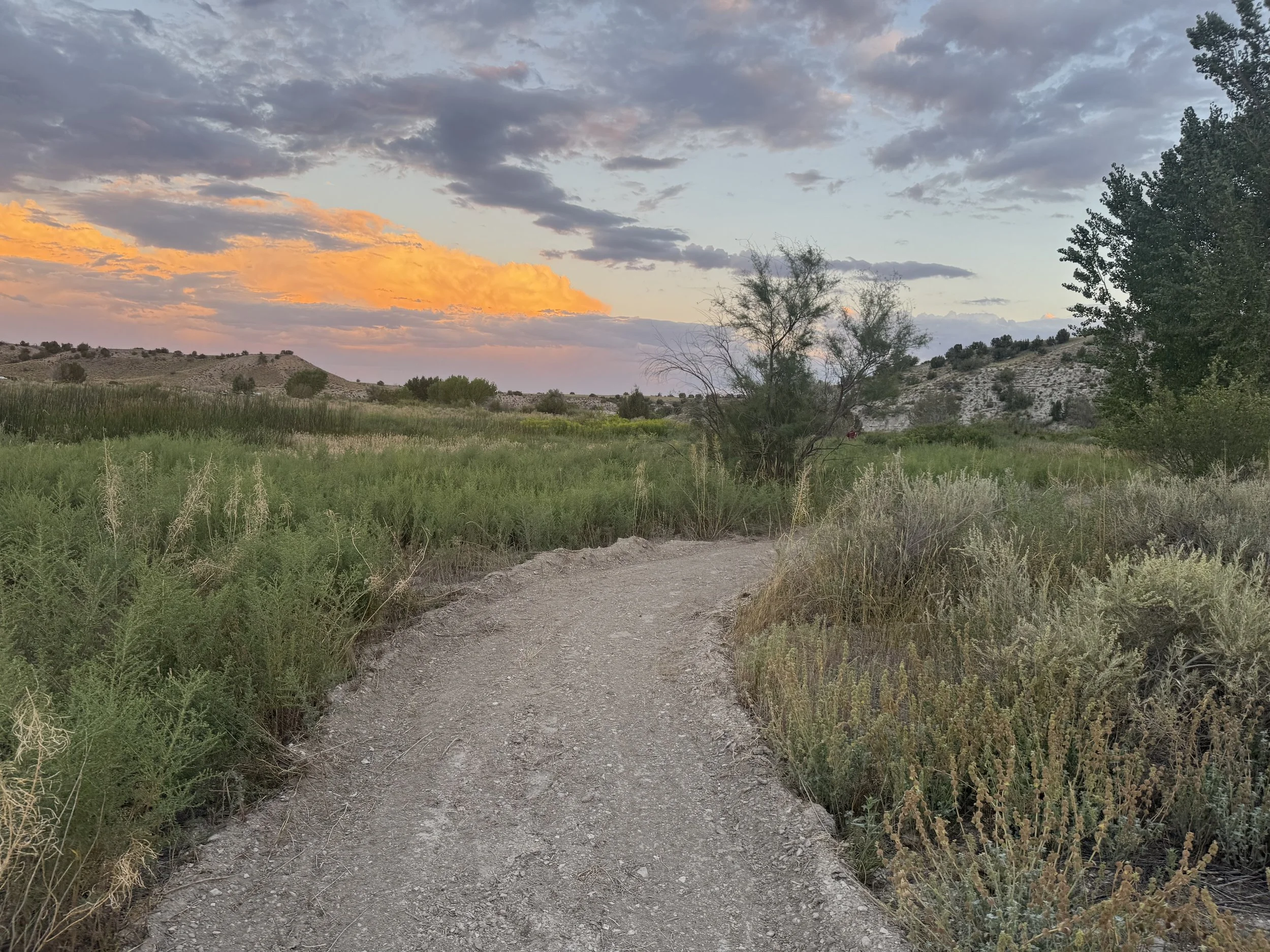 Path through the wildflowers at Southern Colorado Garden Wedding Venue, Lost Pond.