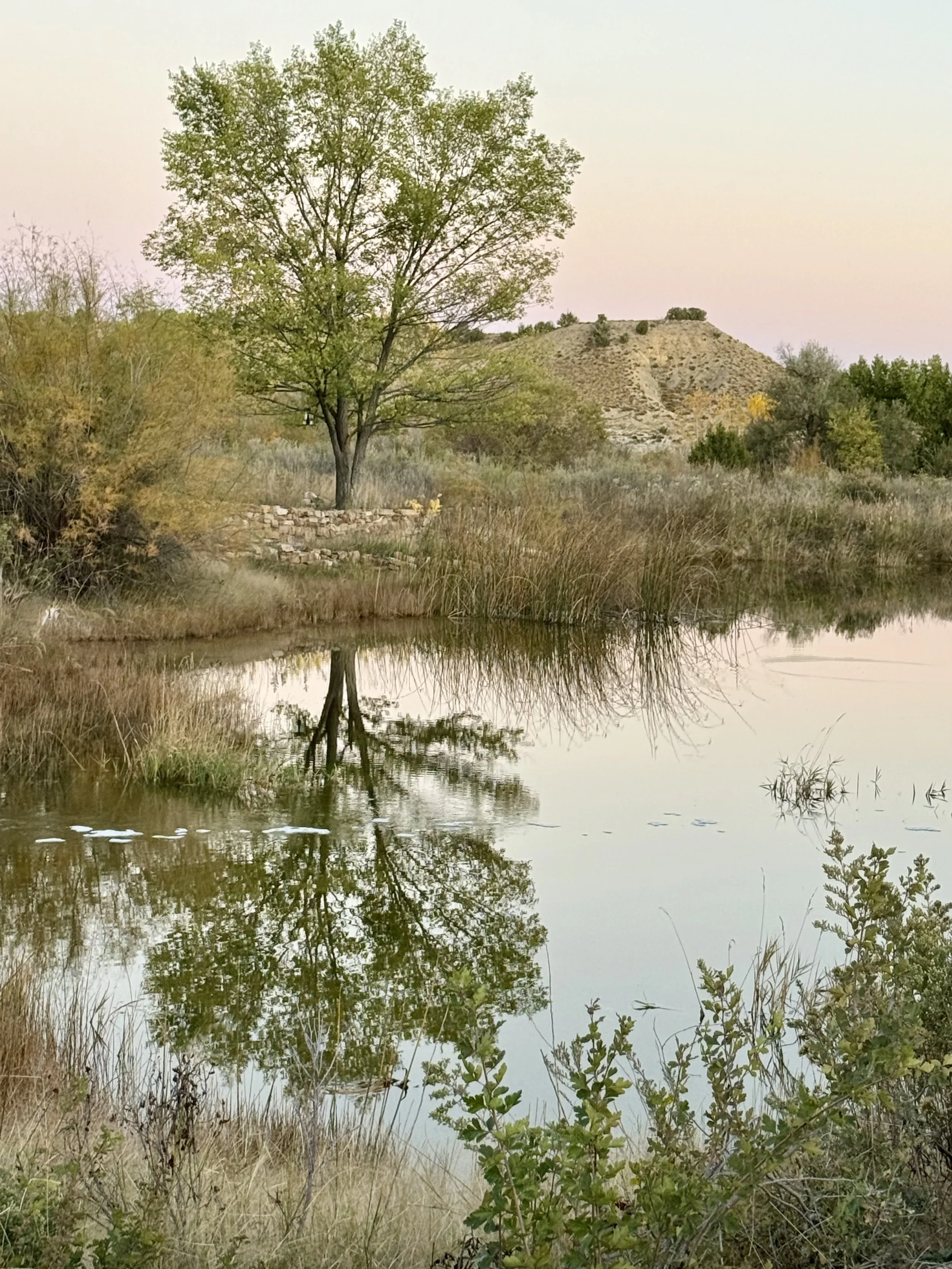 Rustic Outdoor Canon City Colorado wedding venue waterfront sunset.