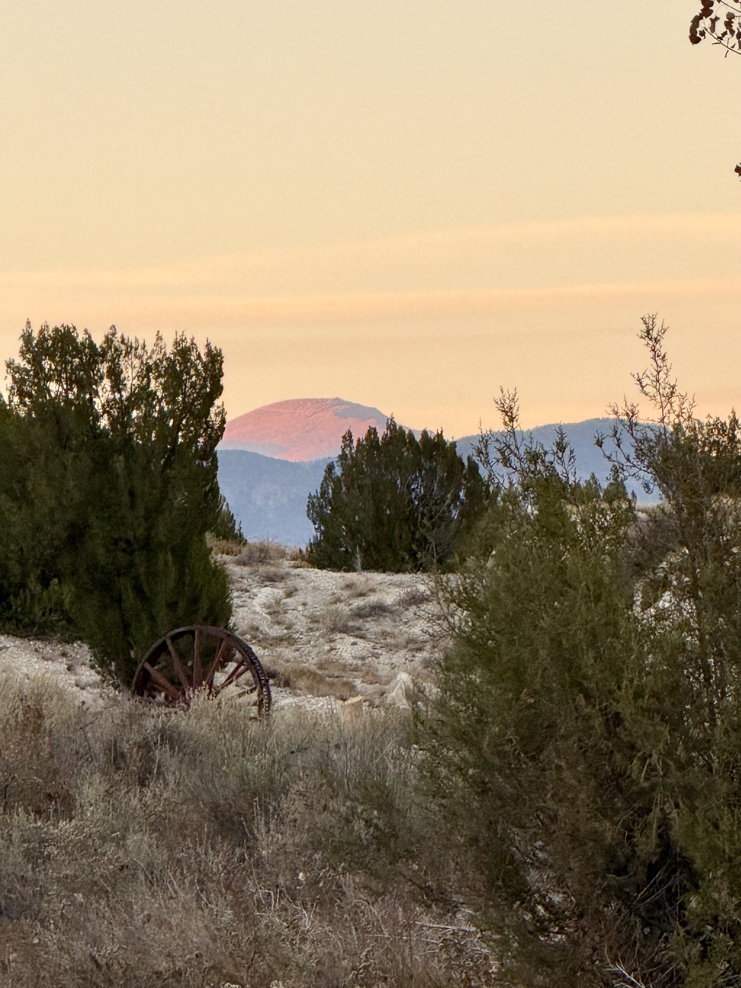 Pikes Peak mountain as seen from Lost Pond wedding venue near Florence, Colorado