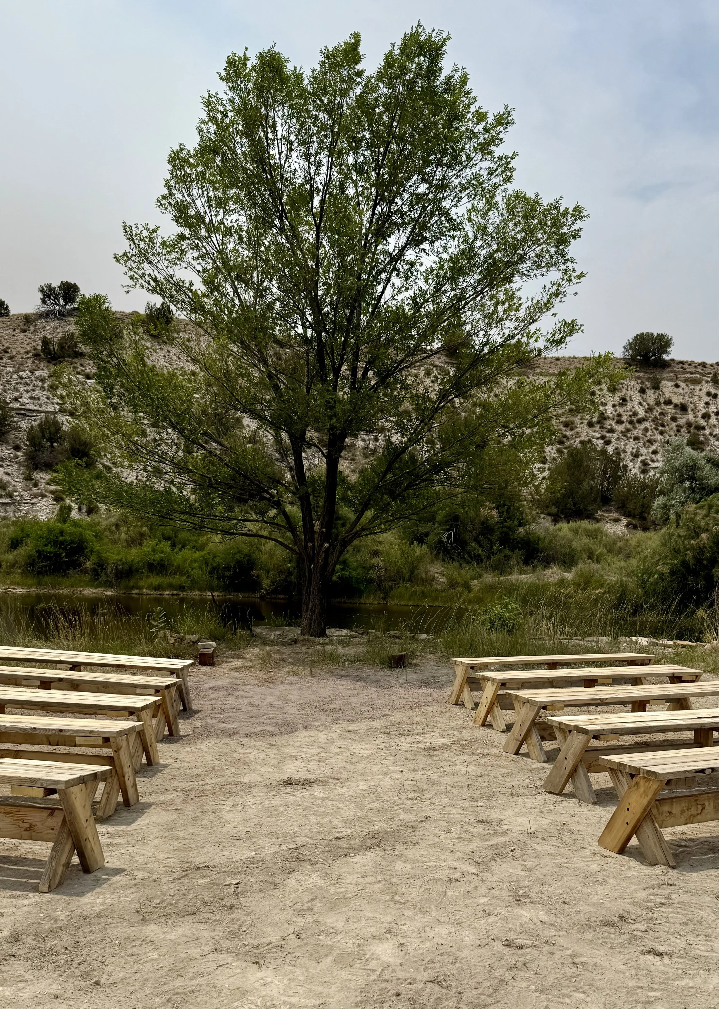 Outdoor wedding ceremony site with rustic benches by a mature elm tree next to the pond at Lost Pond wedding venue between Canon City and Pueblo, Colorado.