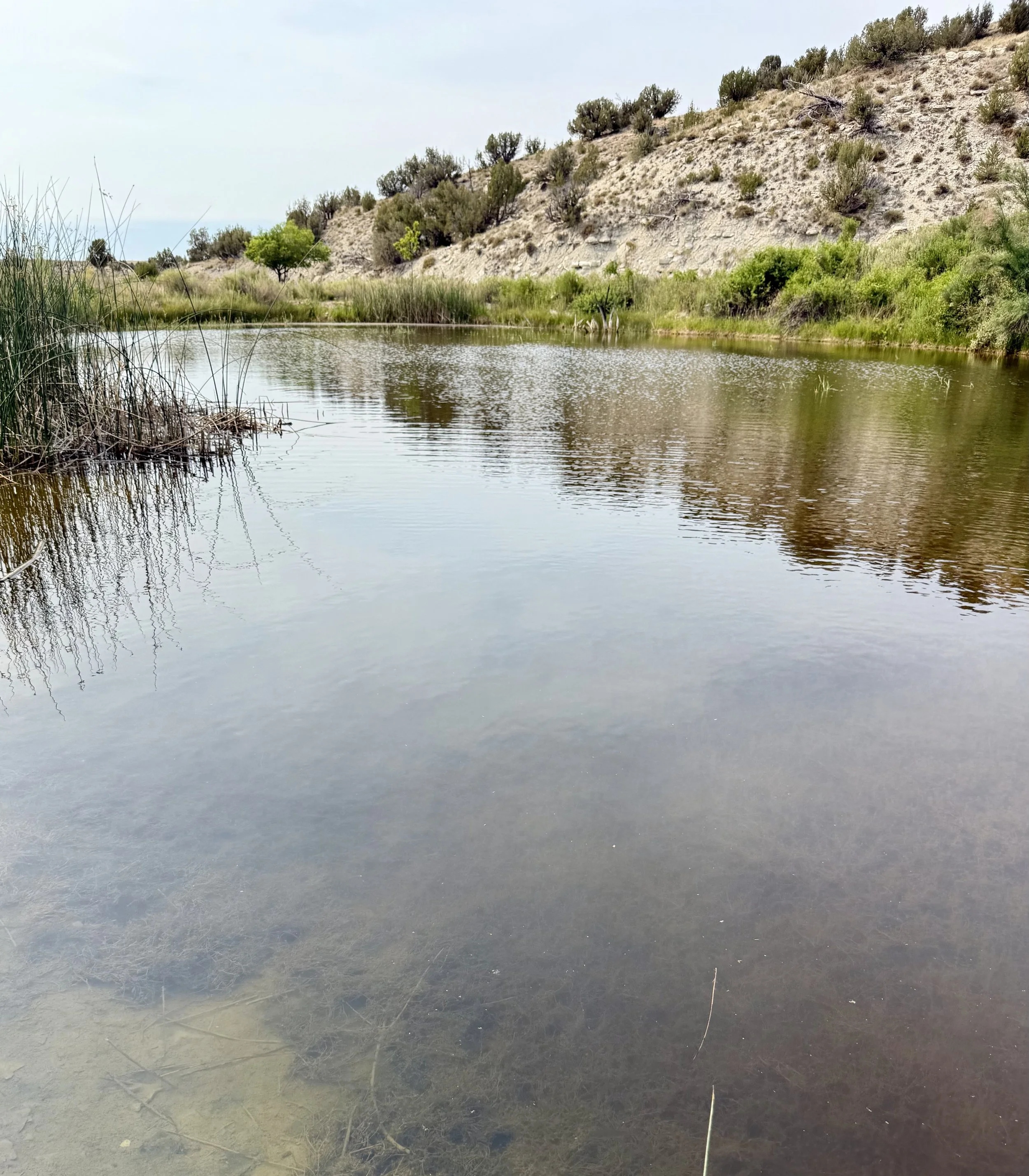 The trees reflect in the pond at waterfront outdoor wedding venue Lost Pond located between Canon City and Pueblo, Colorado, in Southern Colorado.