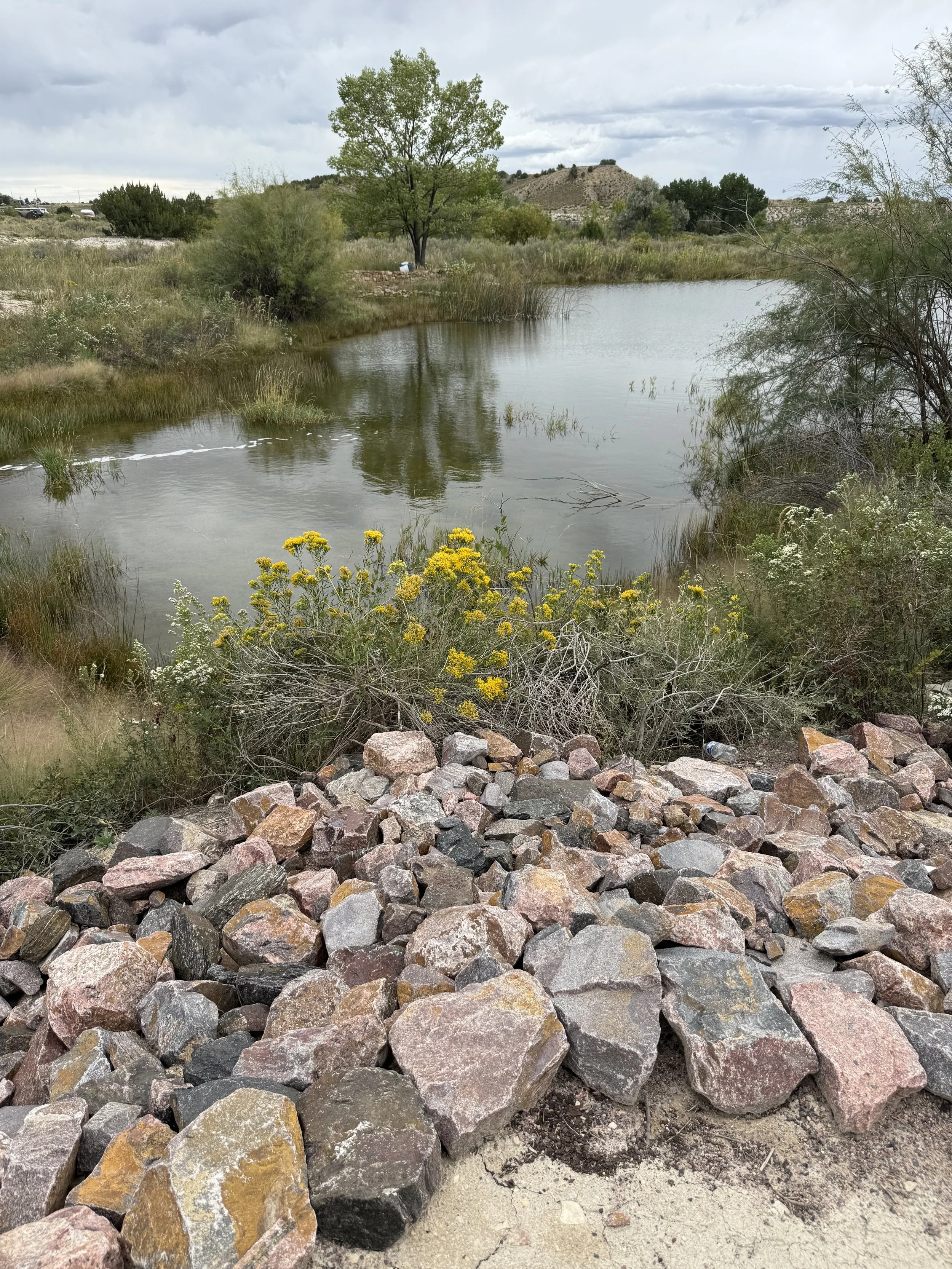 A small pond surrounded by trees and bushes, with a rocky area in the foreground and hills in the background, under a cloudy sky.