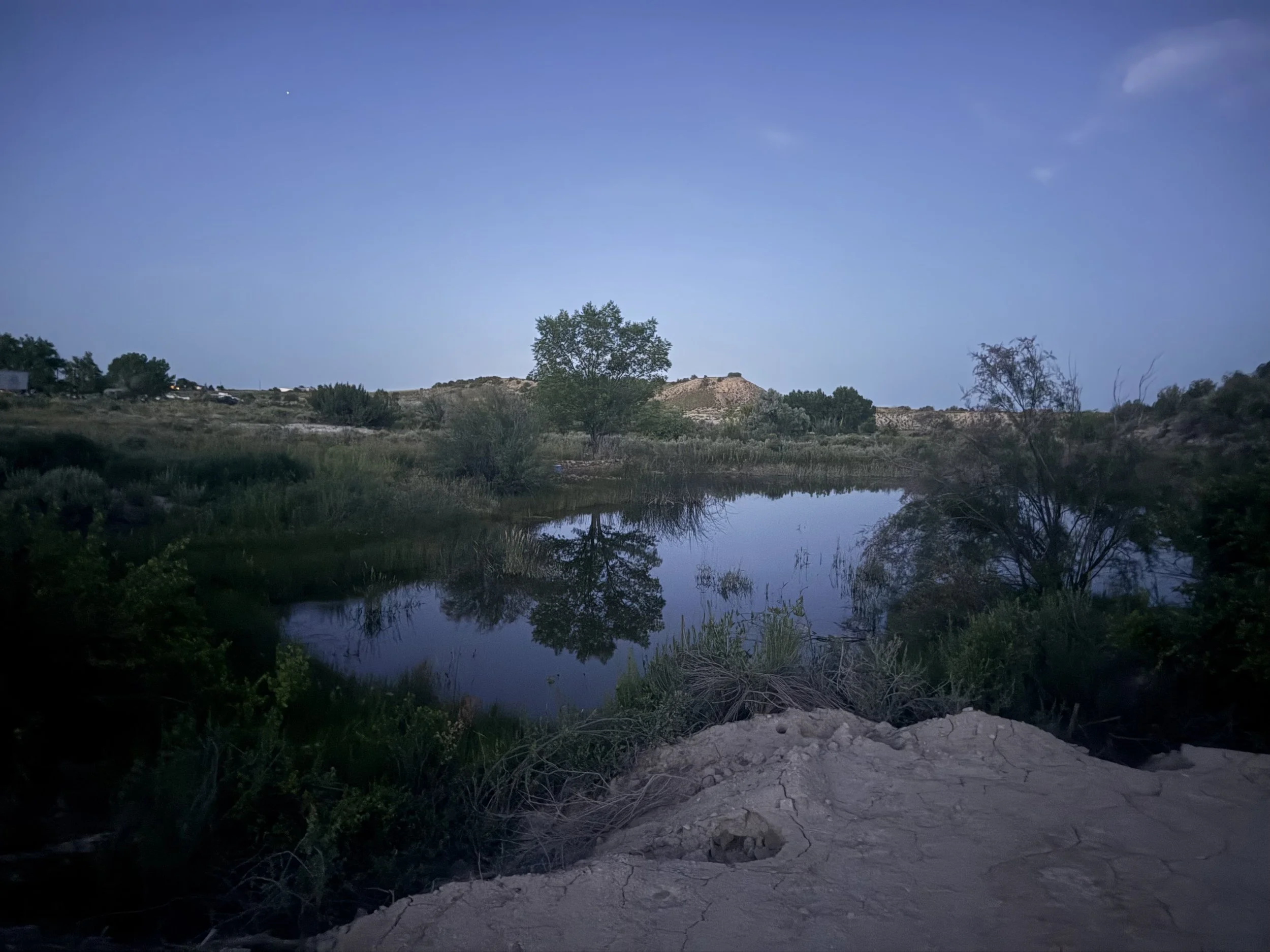 A peaceful landscape featuring a small body of water with trees and bushes on its banks, surrounded by grassy hills under a clear blue sky during twilight.