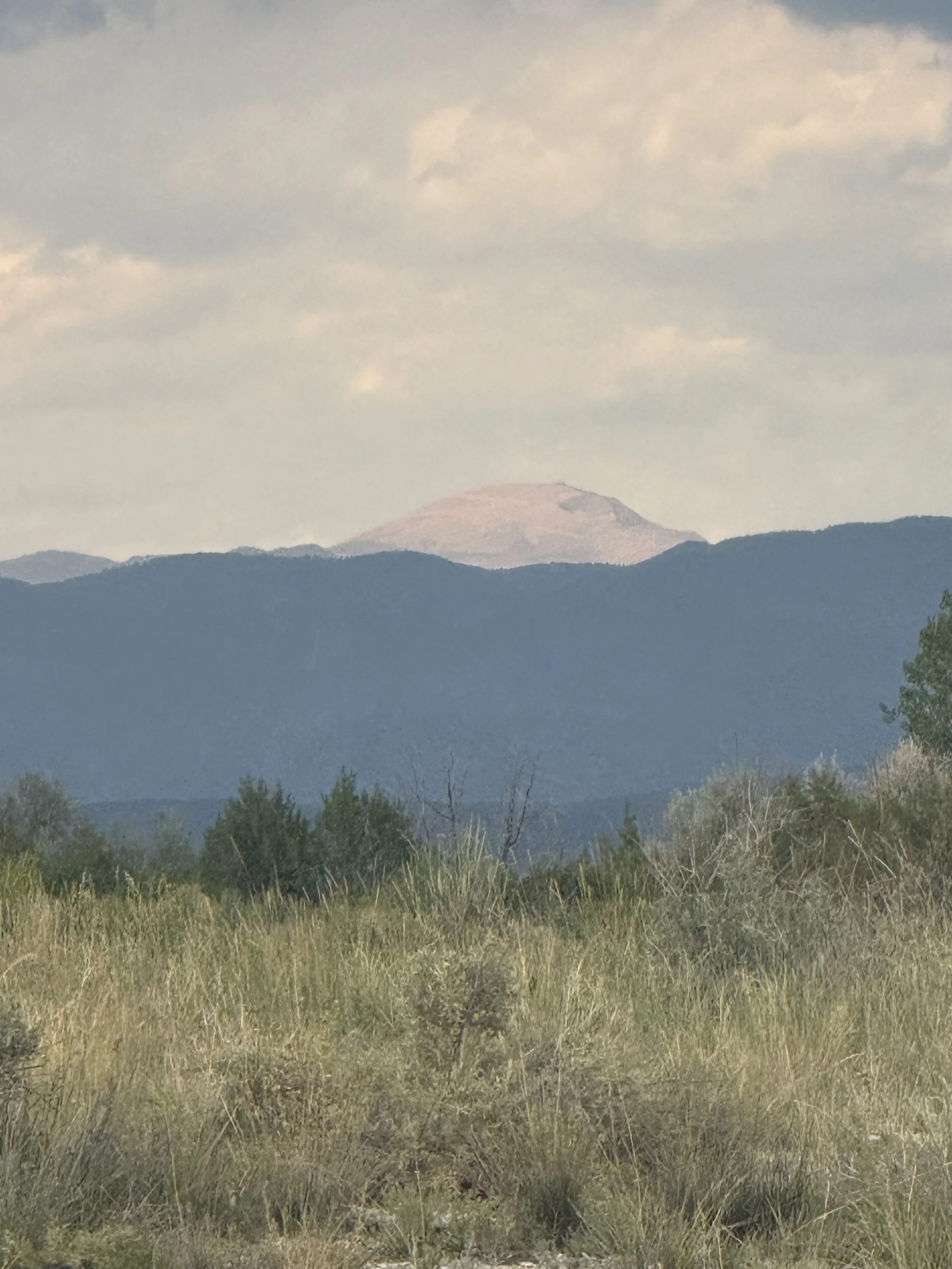 Scenic view of a mountain landscape with a distant snow-capped peak, green trees, and dry grasses in the foreground under a partly cloudy sky.