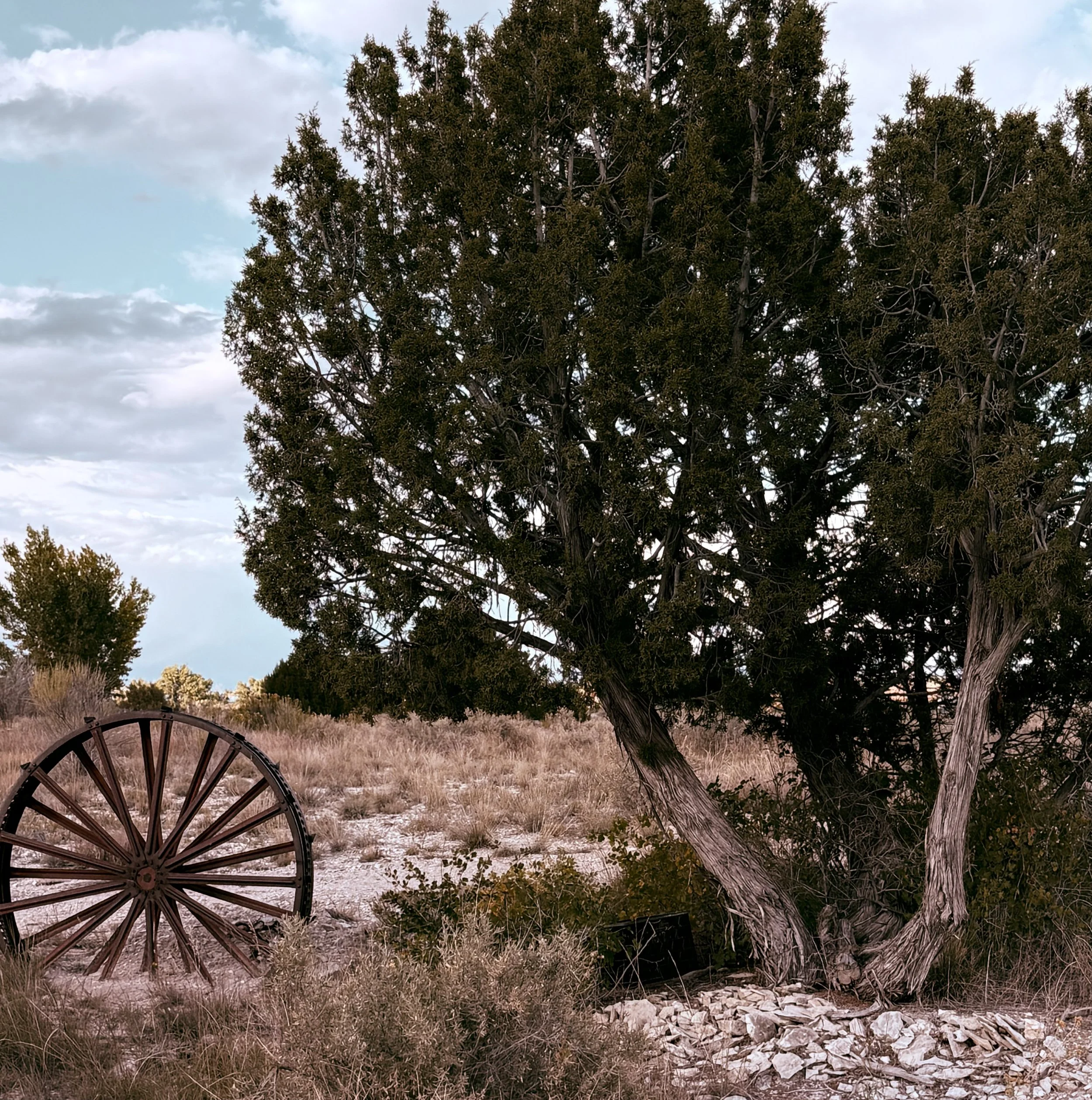 Rustic outdoor Canon City Colorado Wedding venue cocktail hour spot