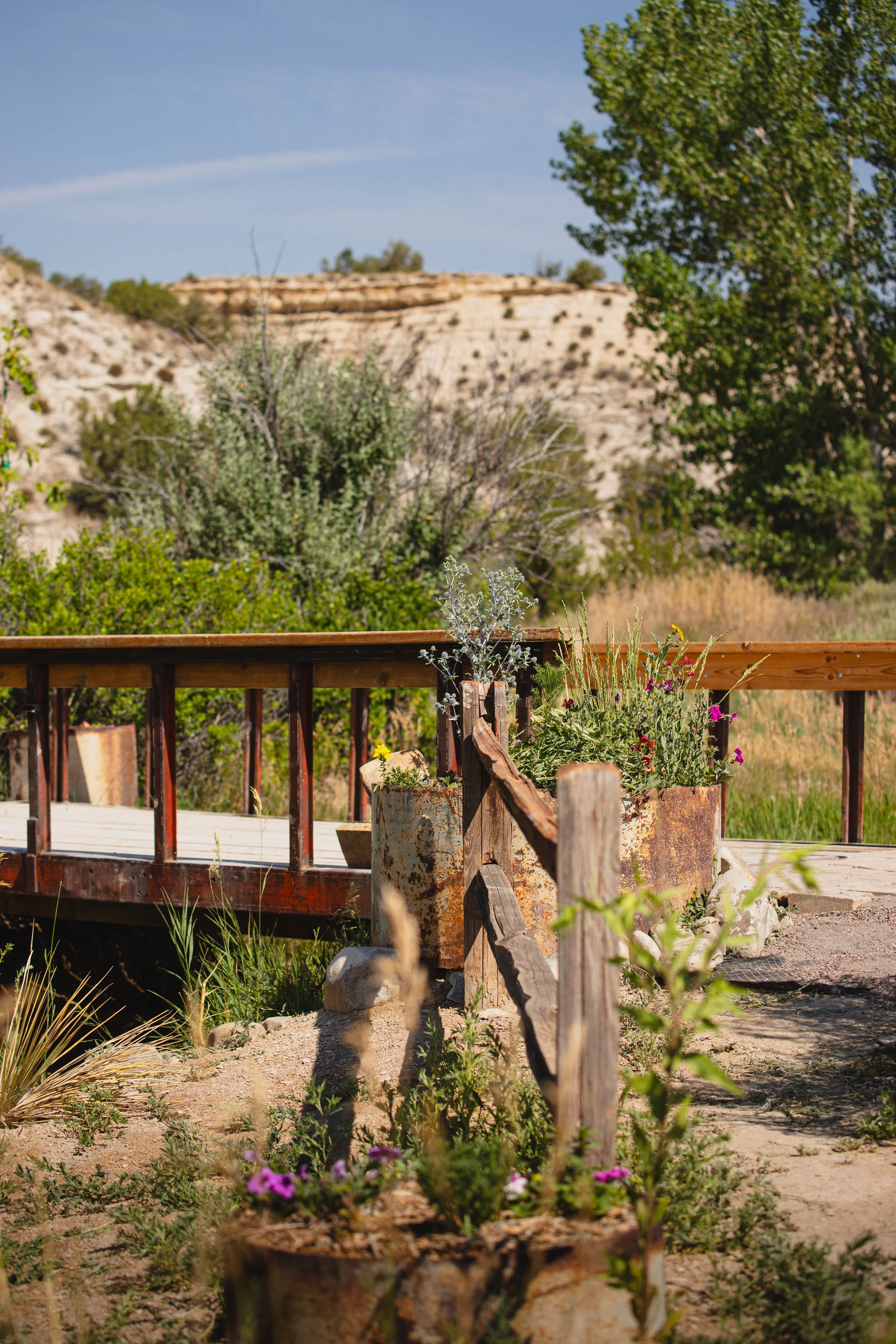 Romantic rustic bridge over the stream at Lost Pond wedding venue, an outdoor wedding venue near Canon City, Colorado Springs, and Pueblo, Colorado.