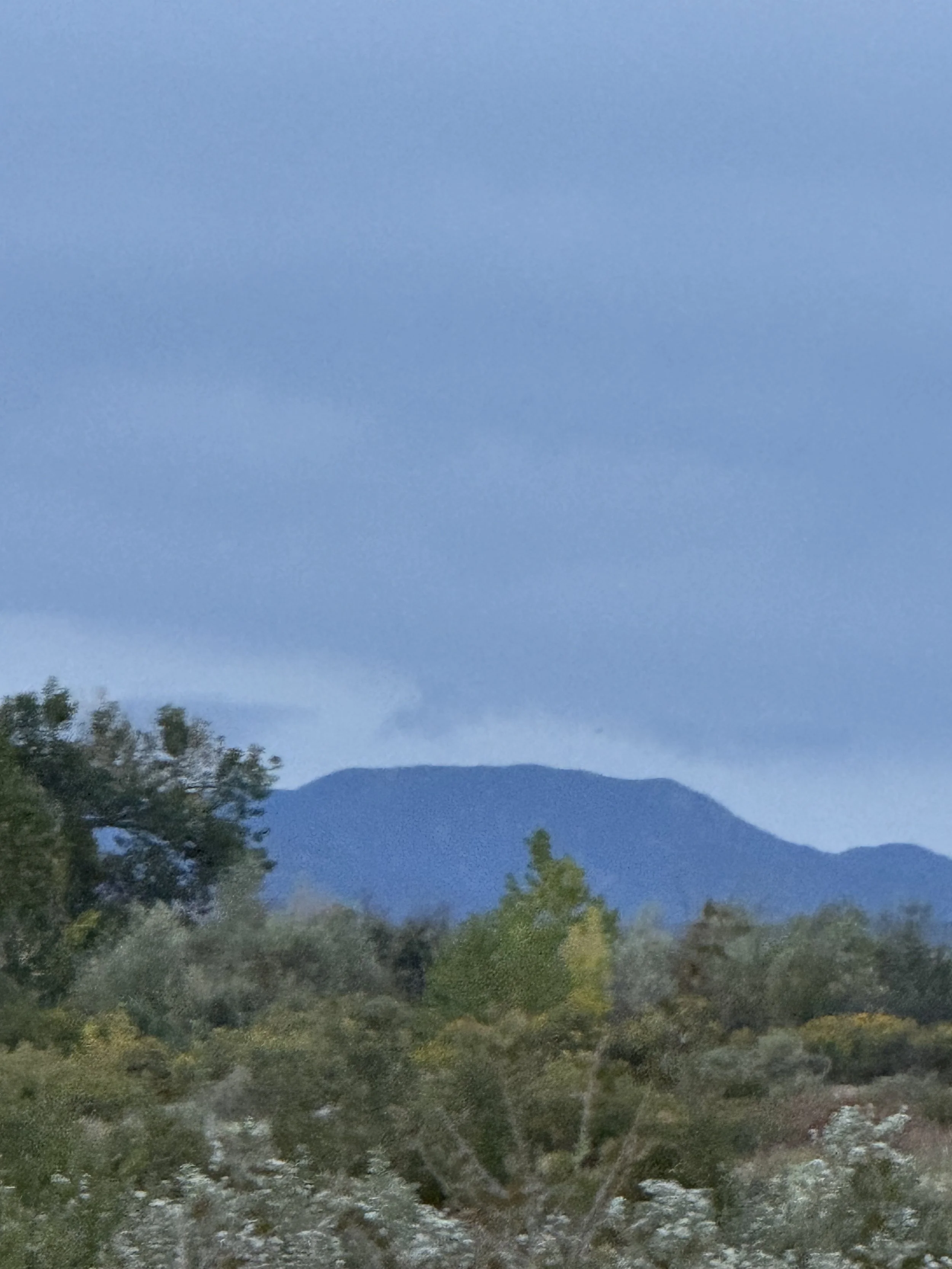 Mountain View Wedding Venue Lost Pond in Southern Colorado