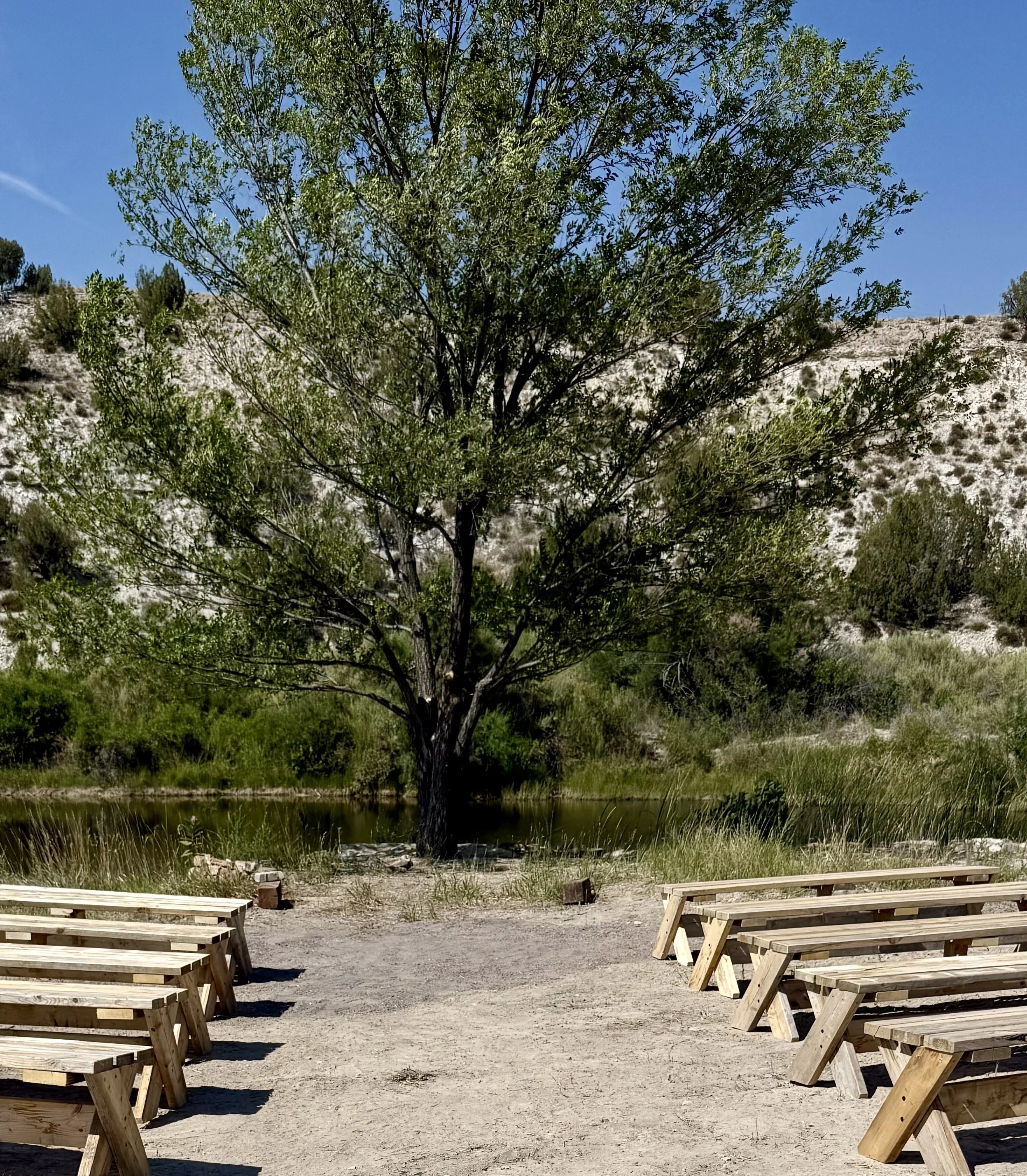 A large tree with green leaves next to a pond, with wooden benches set up in a semi-circle around the outdoor wedding ceremony site,  with a mountain in the background. At Lost Pond outdoor wedding venue near Colorado Springs, Colorado.