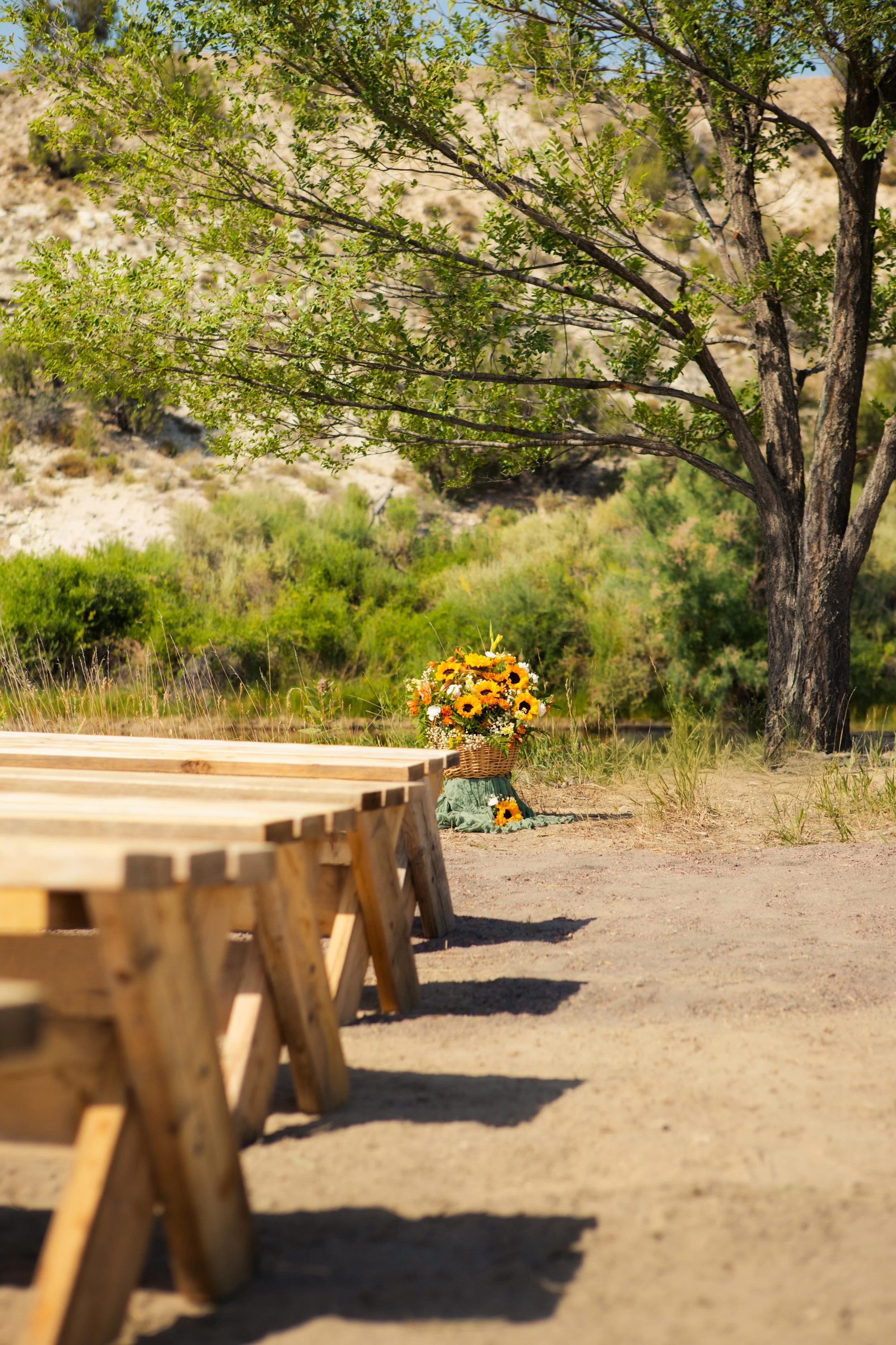 A large tree with green leaves beside a table. A basket of yellow and white flowers is on the ground near the tree. The background features dry, hilly terrain with some greenery.