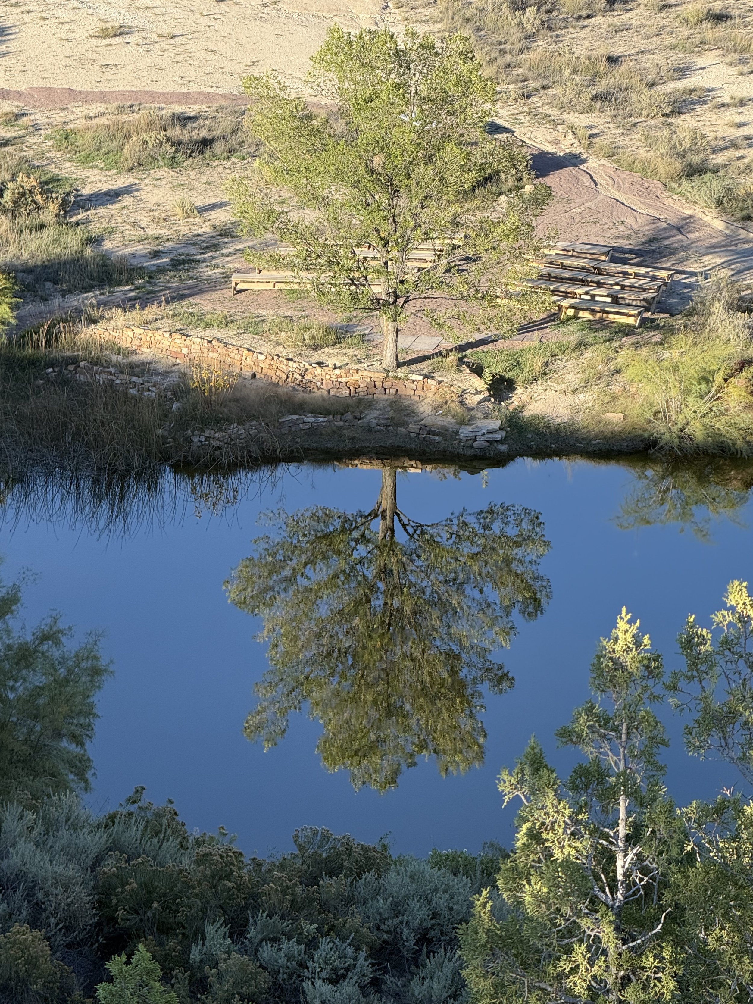 The ceremony tree and benches and reflection on the pond at Lost Pond wedding venue near Florence, Colorado.