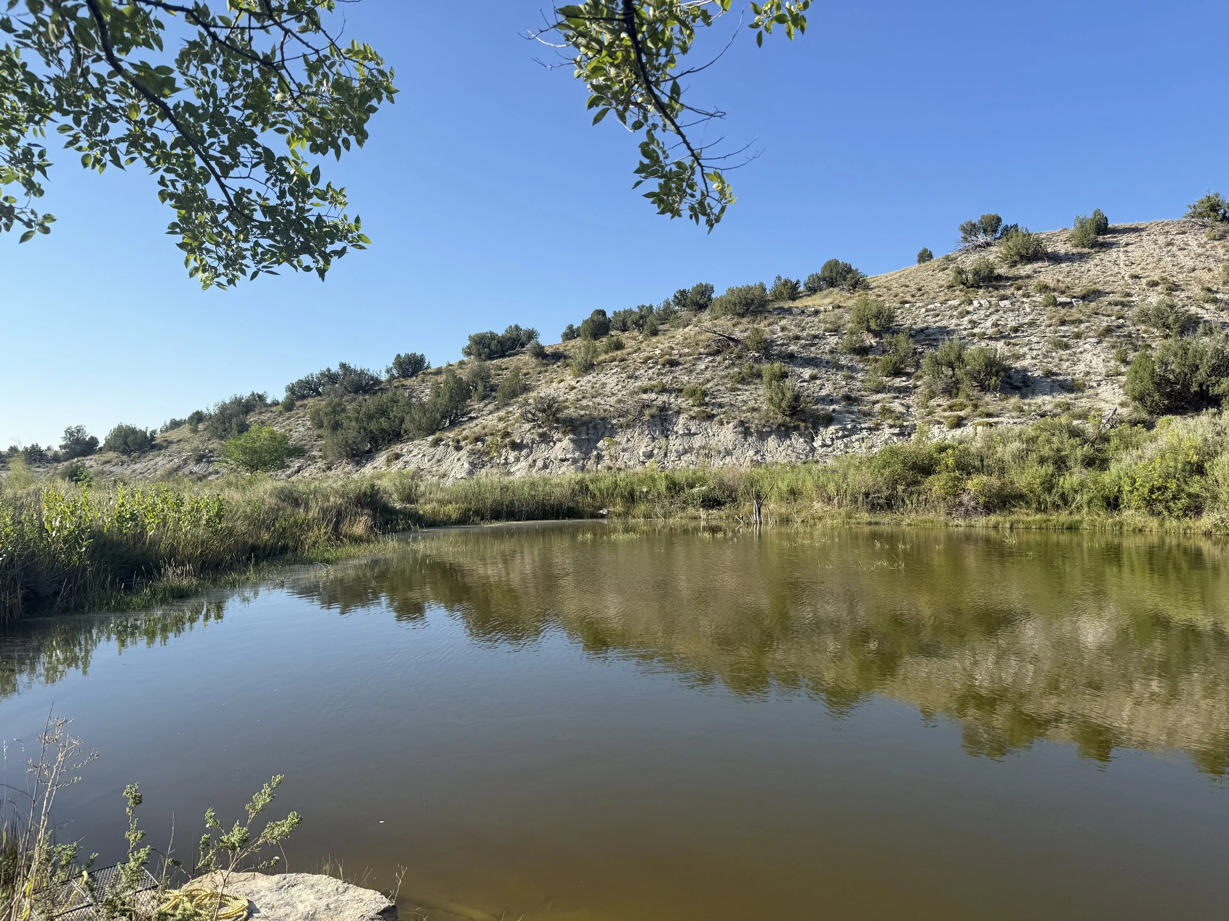 A peaceful river landscape with calm water reflecting the blue sky and surrounding greenery. There is a hillside with scattered bushes and trees in the background, and some branches extend into the scene from the top left corner.