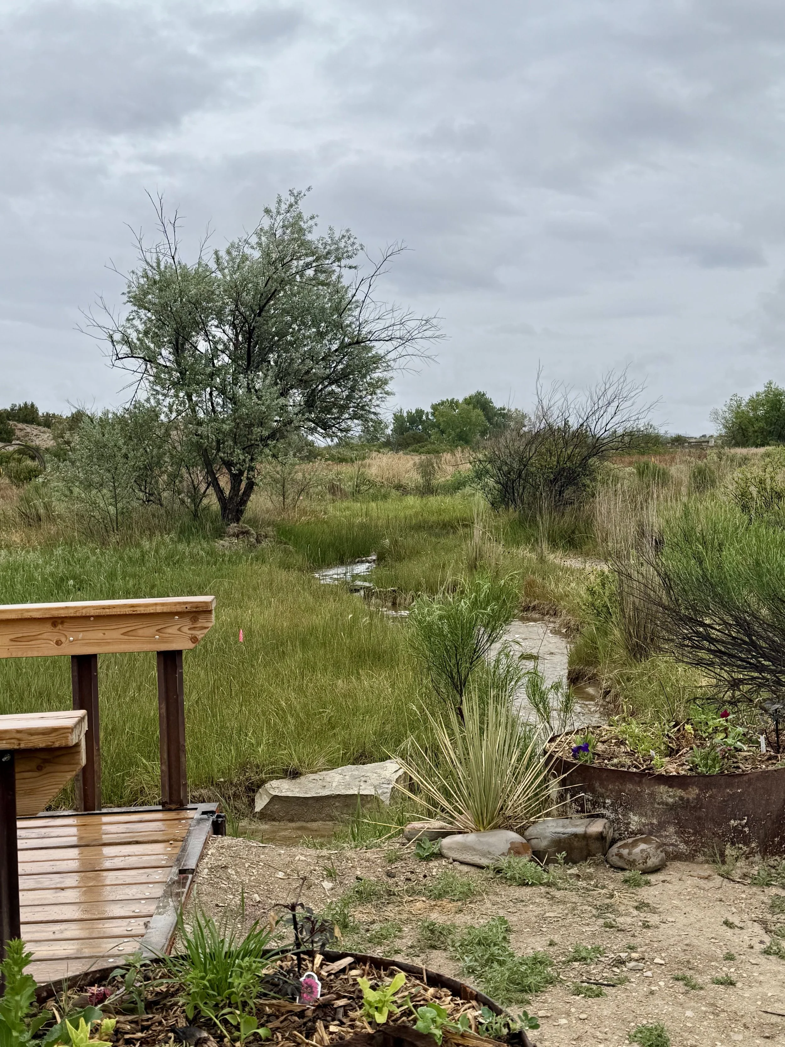 A garden wedding venue with a bridge over the waterfall and stream. Both the wedding reception and wedding ceremony site by the water pond and in view of the mountains. The rustic bridge has a type of modern charm.