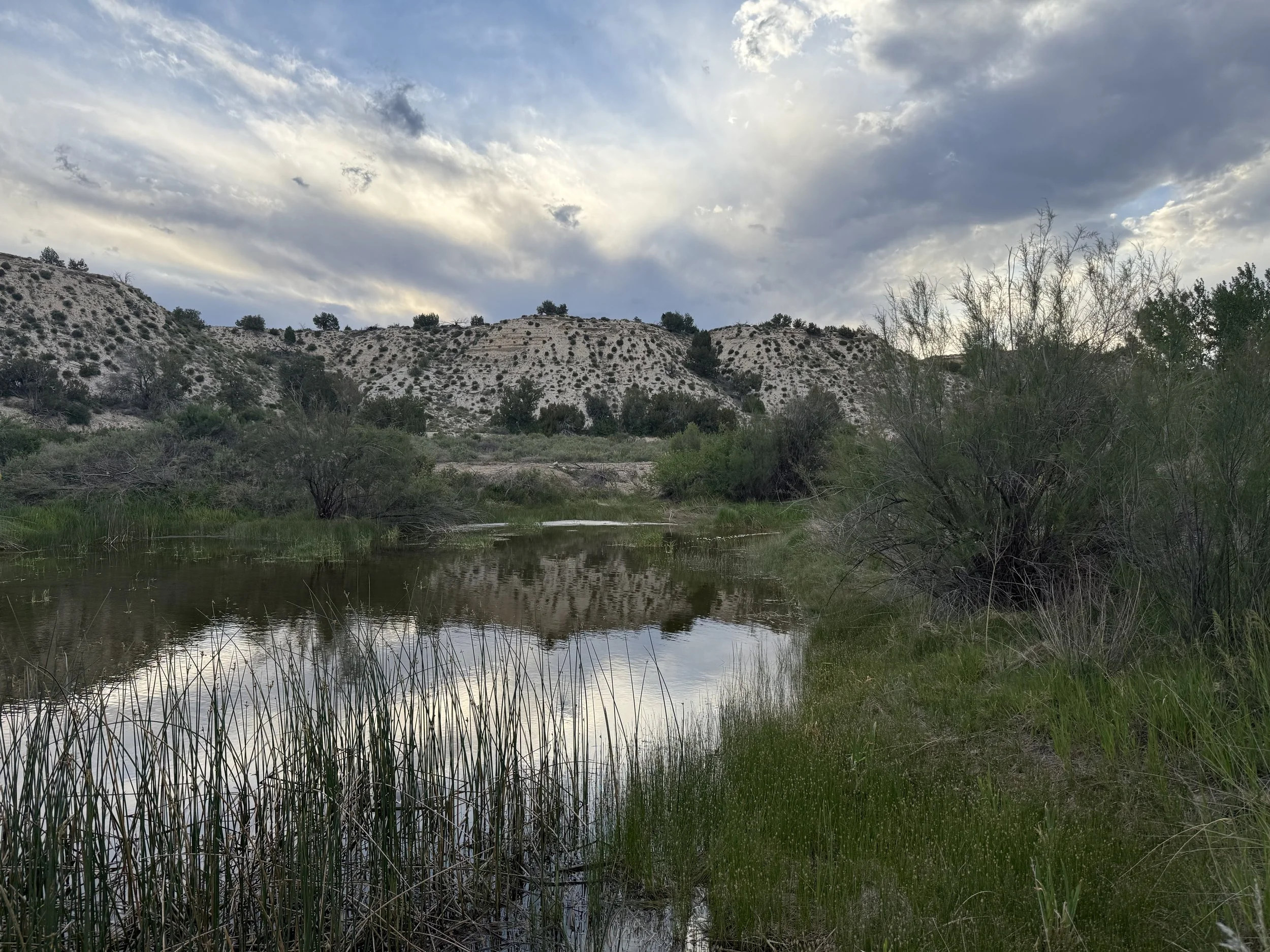 A serene river flows through a lush green landscape with tall grasses and bushes on the banks. In the background, there are white, rocky hills under a partly cloudy sky, reflecting on the calm water of the river.