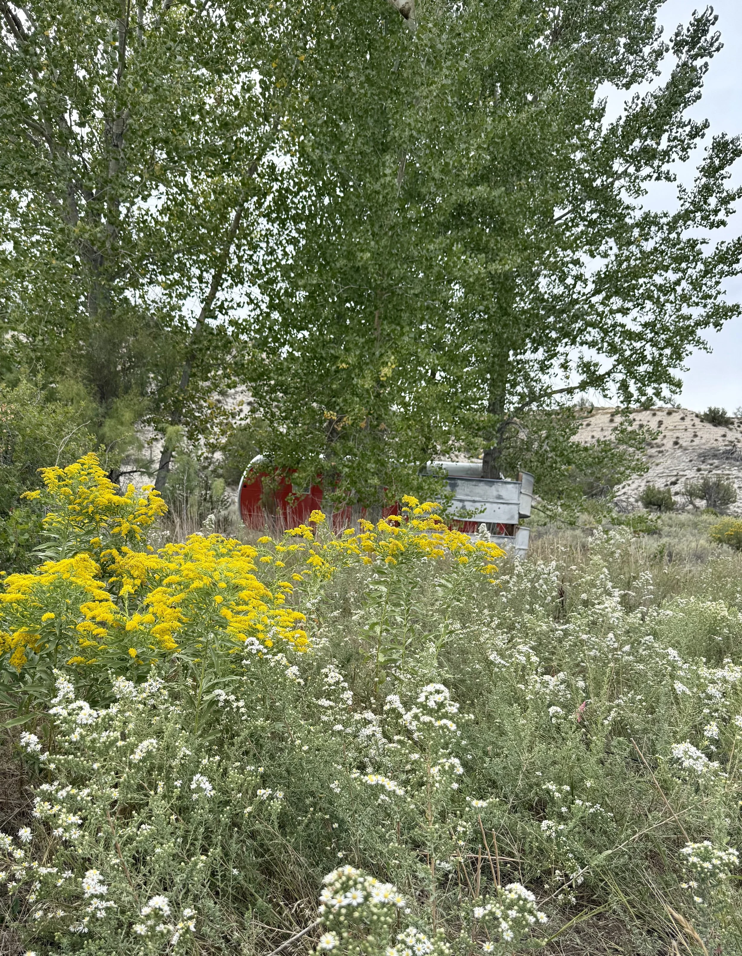 The Lost Salon vintage airstream bridal trailer among the trees and wildflowers at Lost Pond wedding venue near Pueblo, Colorado.