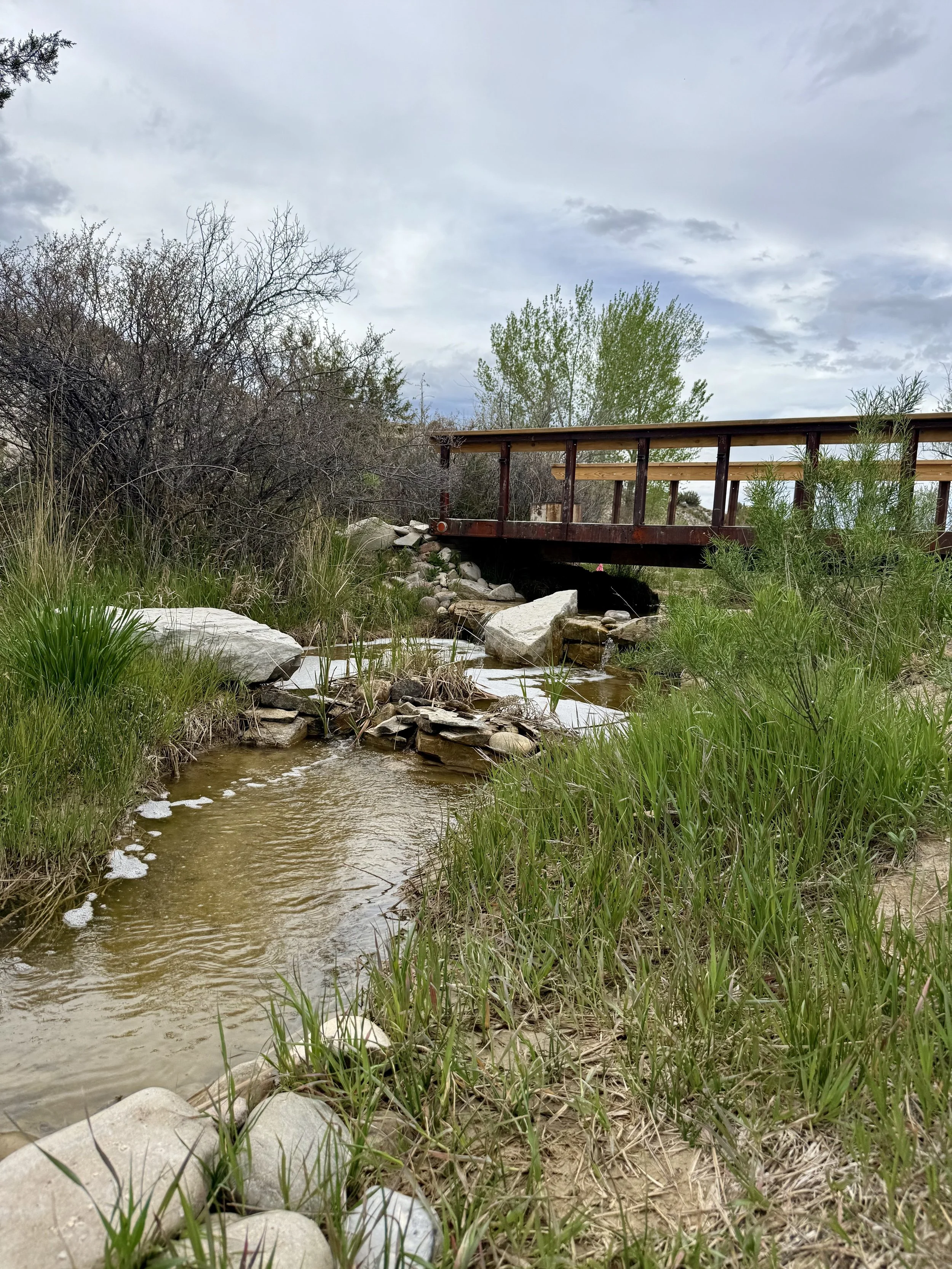 A wooden bridge over a creek and waterfall with green grass and trees. The waterfall is a natural water feature at Lost Pond a rustic venue near Canon City, Colorado.