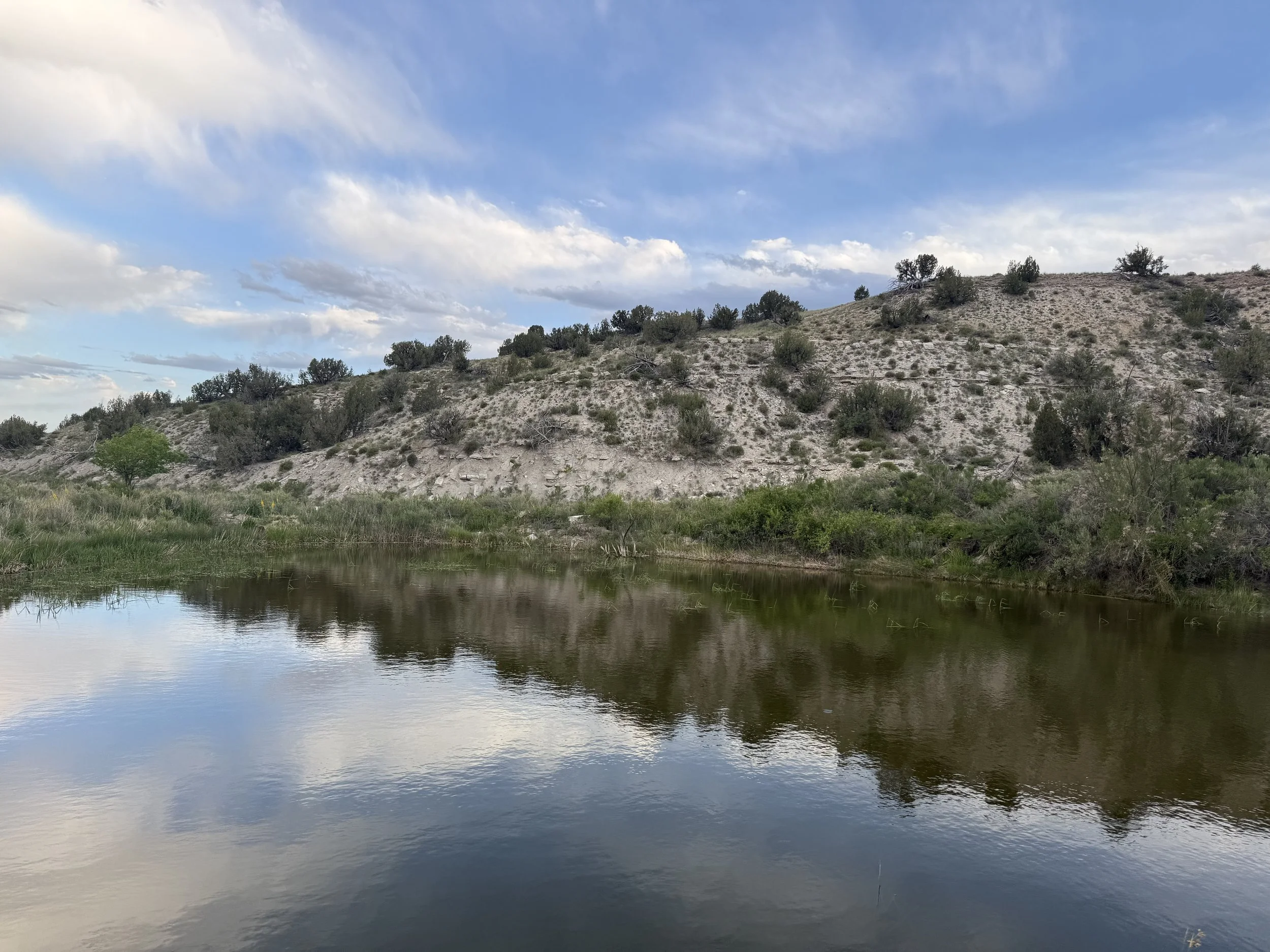 A landscape of a small river or pond with green vegetation along its banks, a hill with sparse shrubs and trees, and partly cloudy sky reflected in the water.