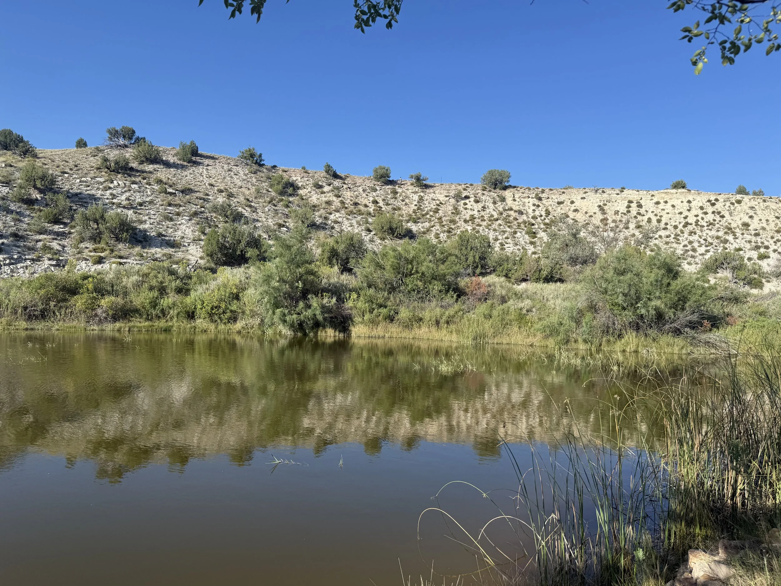 A small body of water surrounded by vegetation, with a hillside in the background under a clear blue sky.