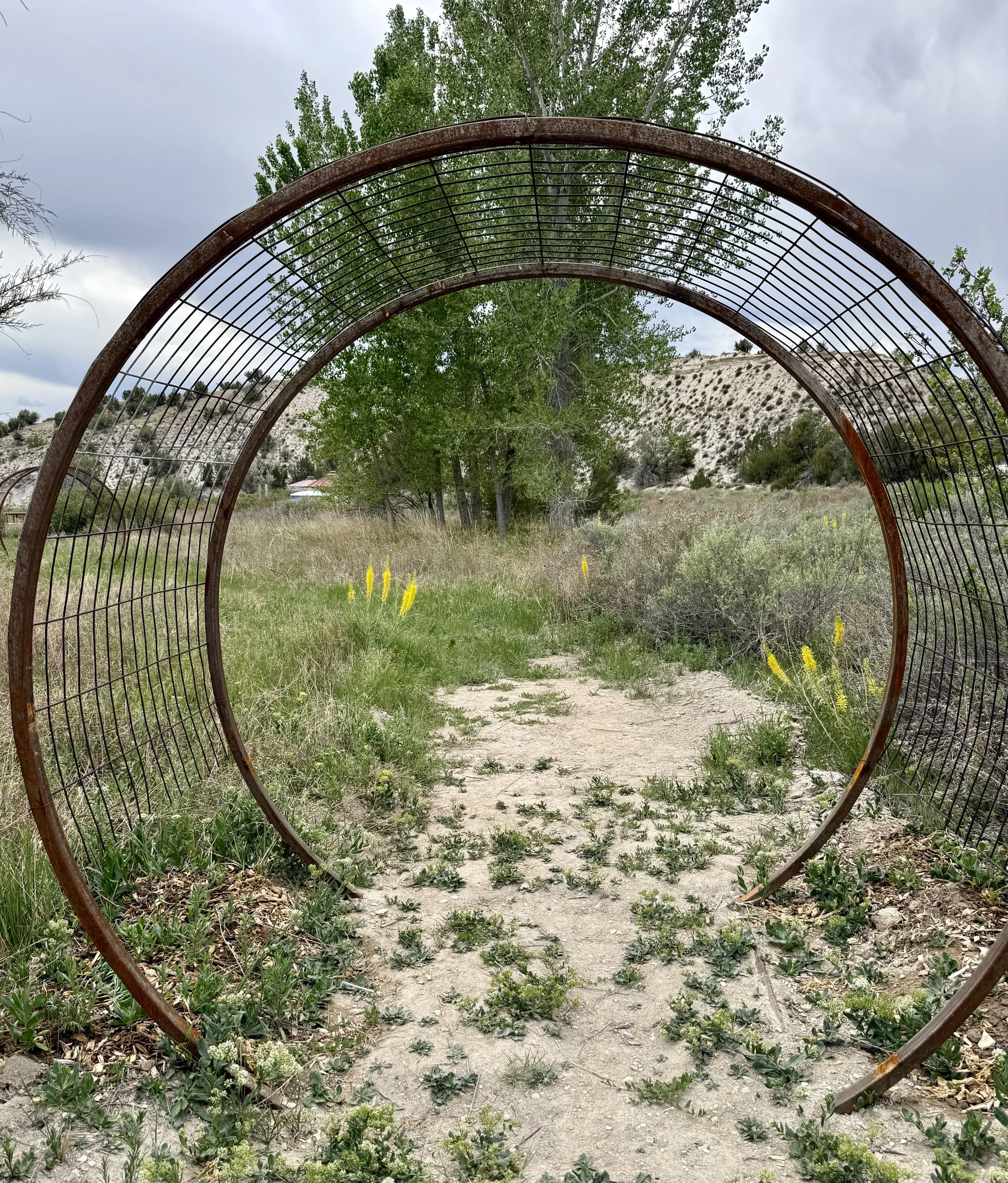 Industrial moon gates garden arches covered in fairy lights on the path through the wildflowers at Lost Pond wedding venue. The trail leads to the ceremony site and reception area next to the pond and other natural water features near Pueblo, CO